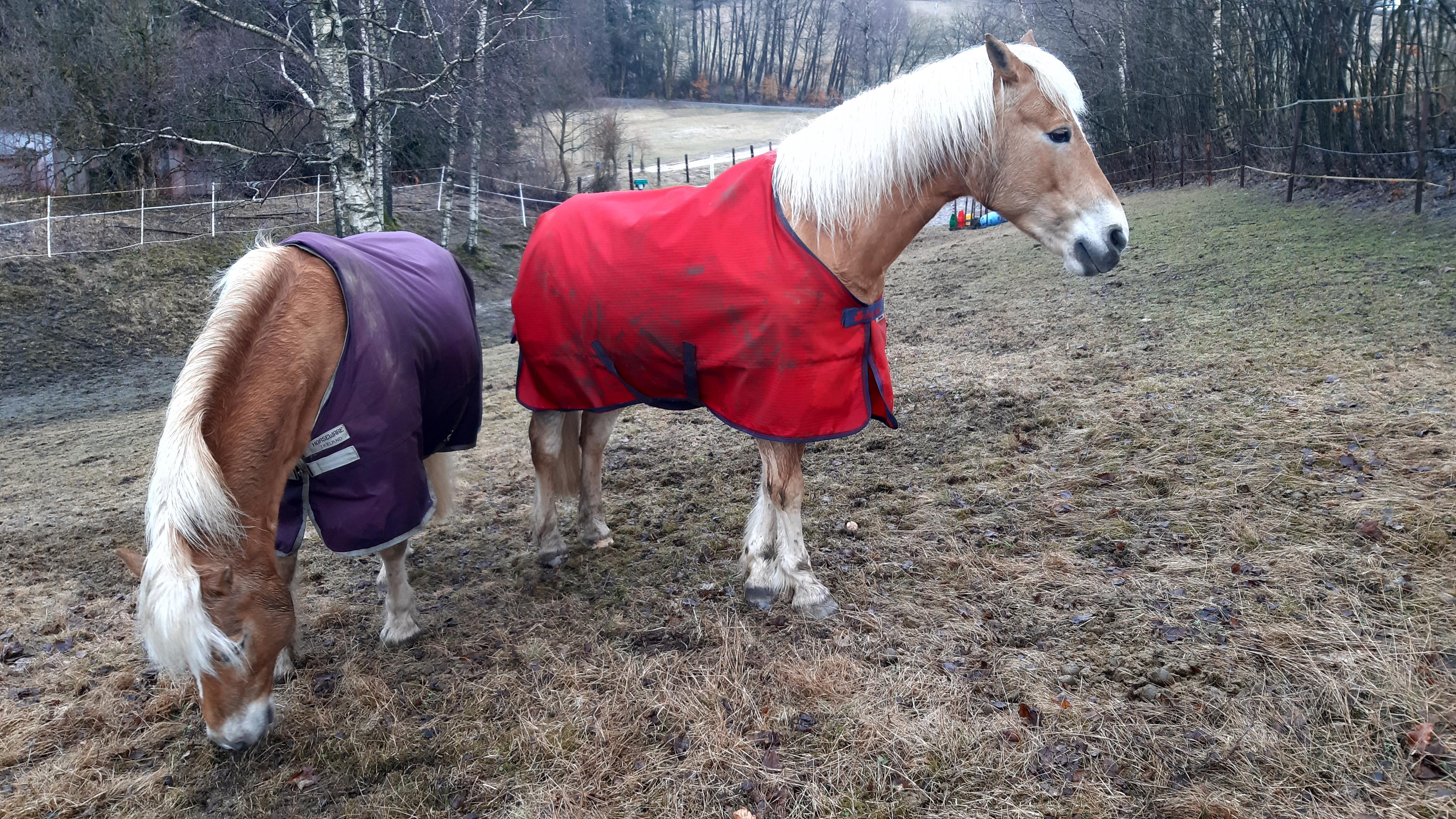 Hotel Kořínek foto 4