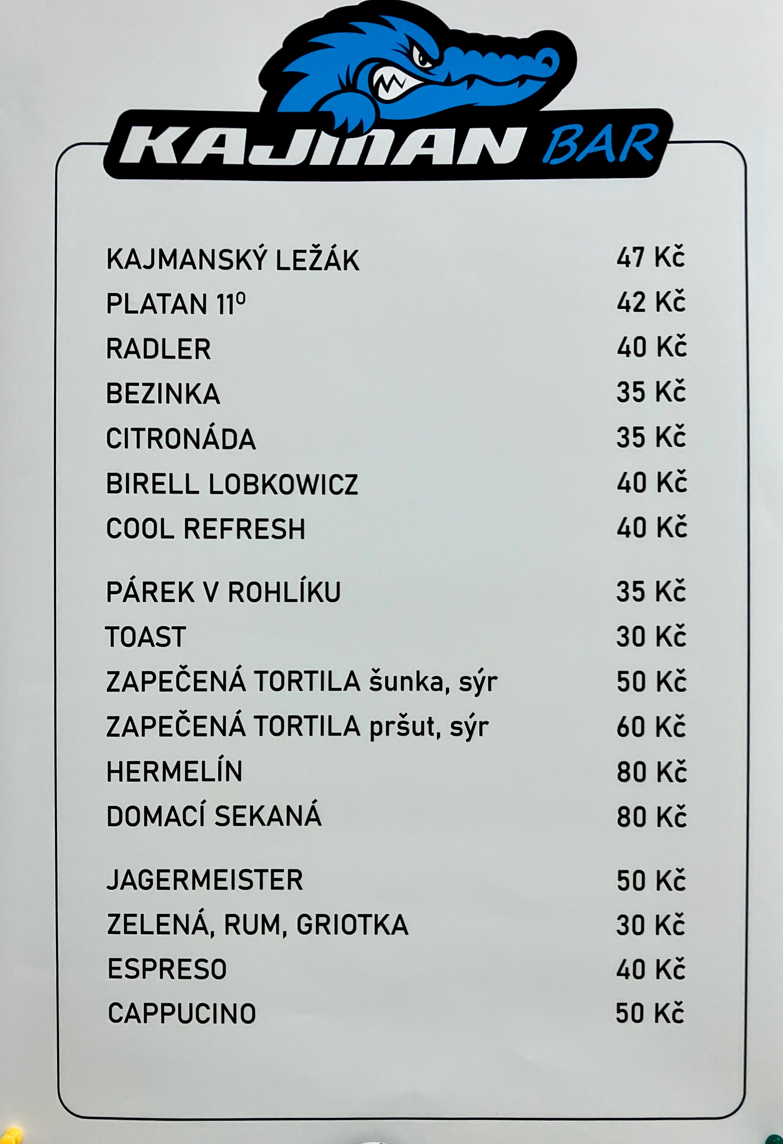 Volejbal Praga foto 2