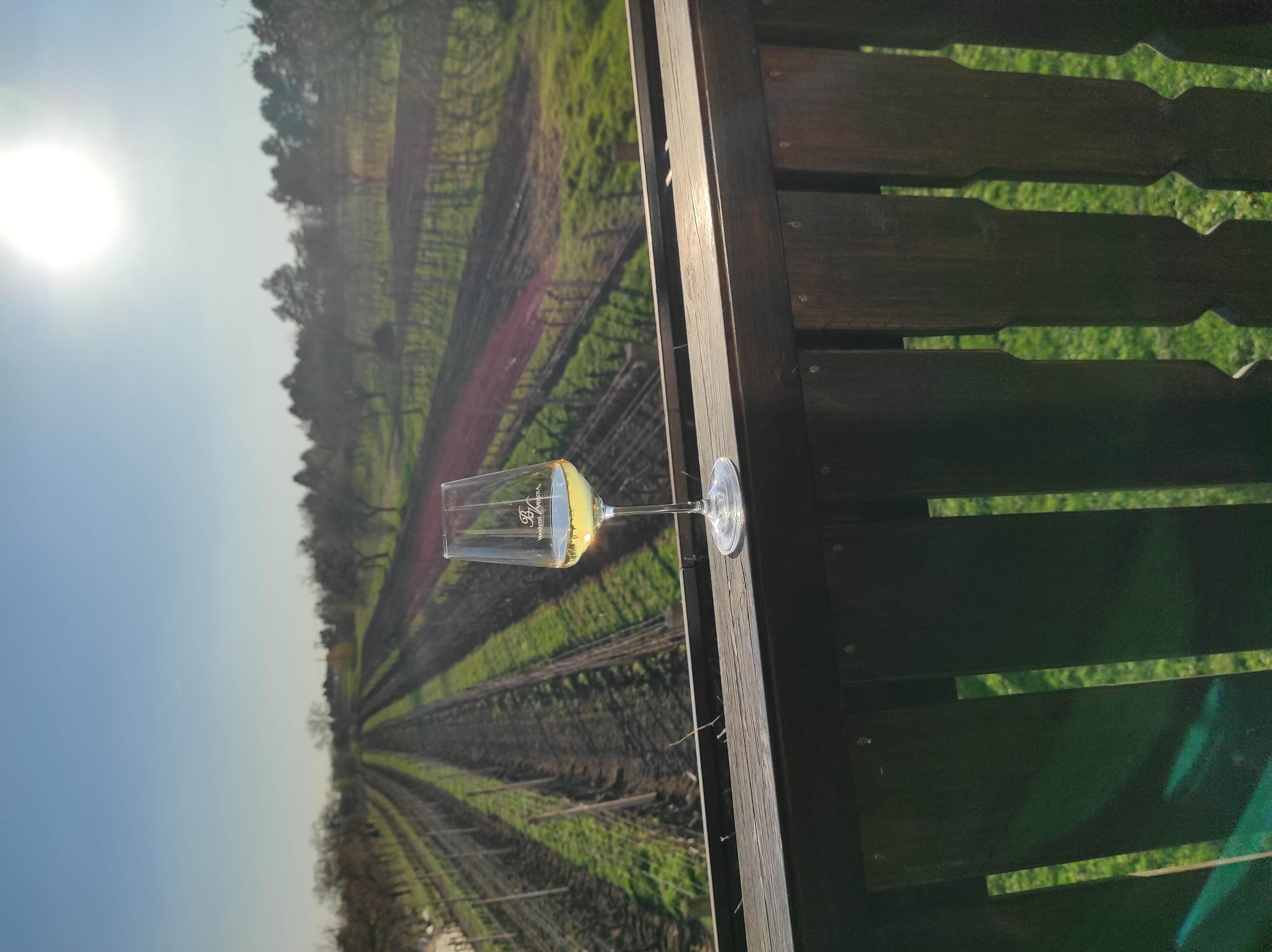 Vinařství Výmola foto 1