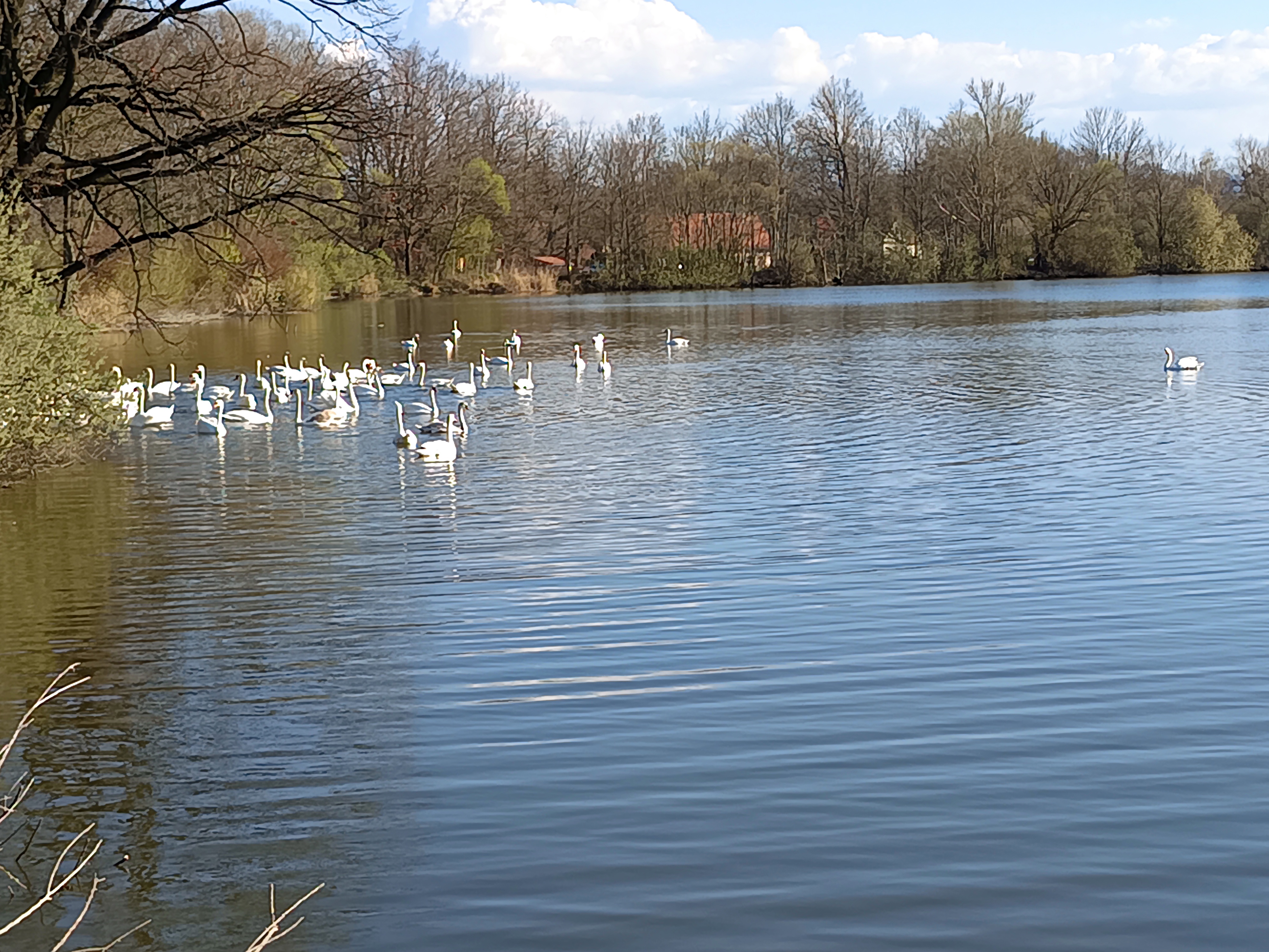 Záchranná stanice Bartošovice foto 6