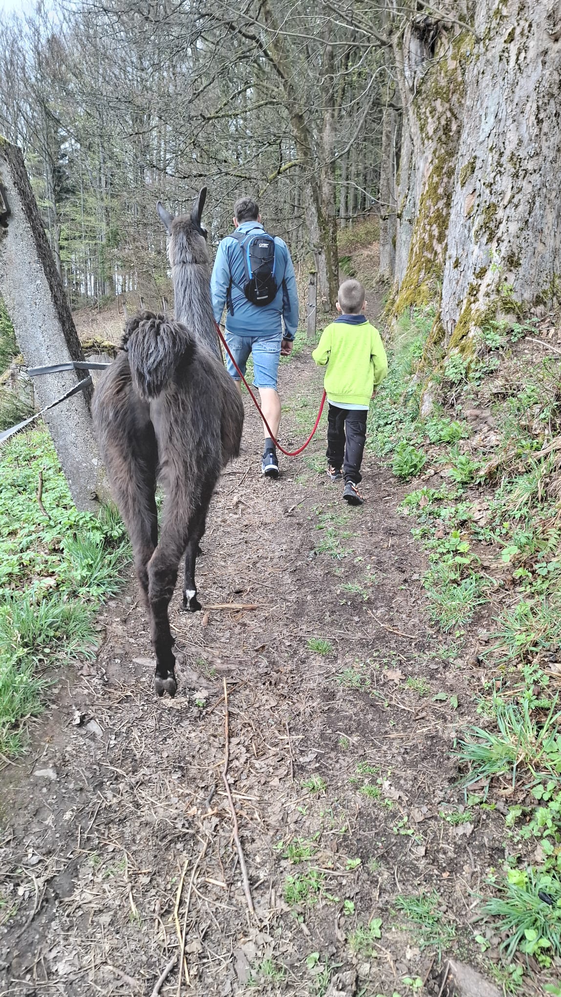 Rodinná farma Vlček foto 5