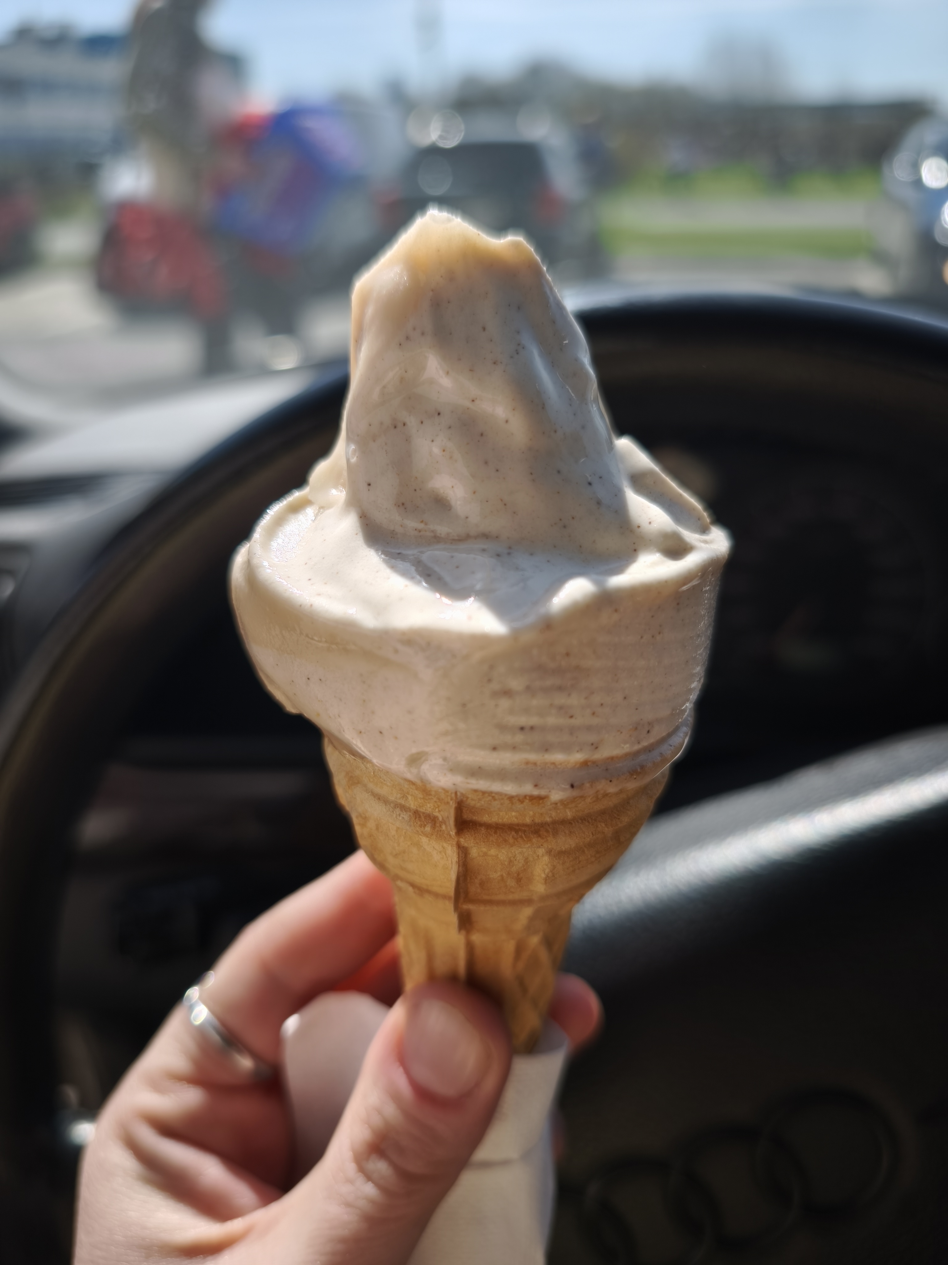 Dobřanská zmrzlina foto 3