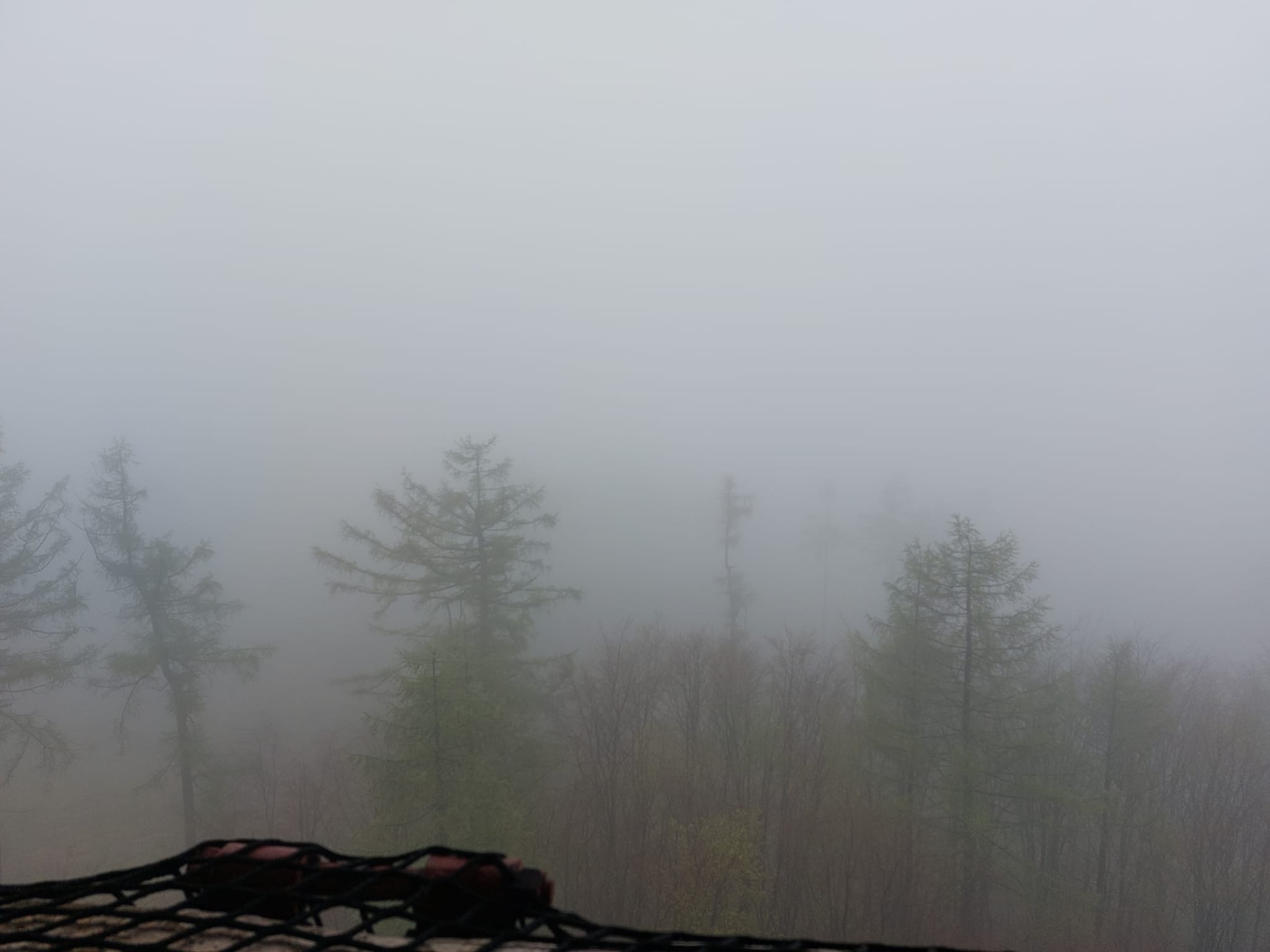 Občerstvení Koliba foto 5