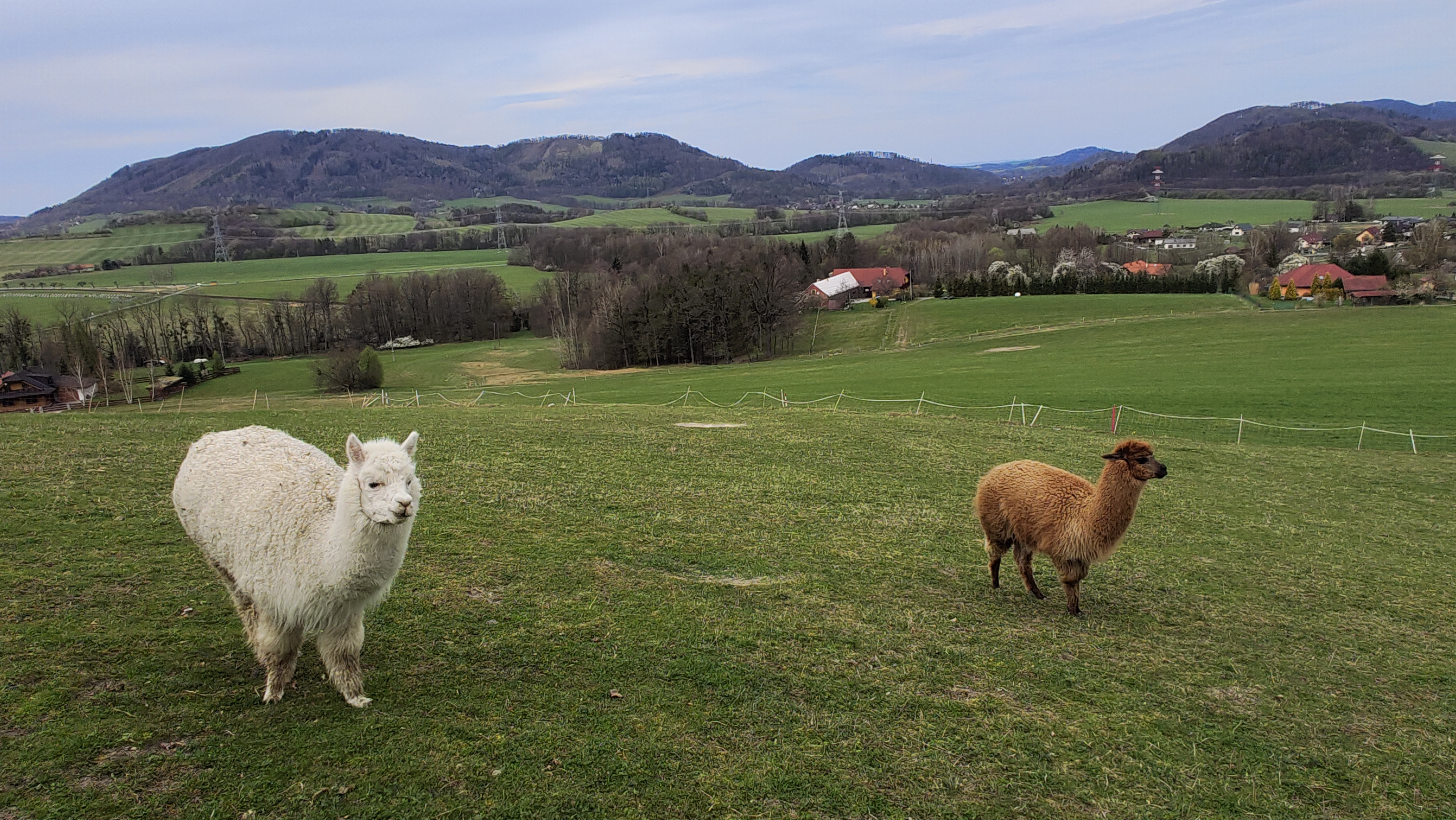 Horečky ranč foto 3