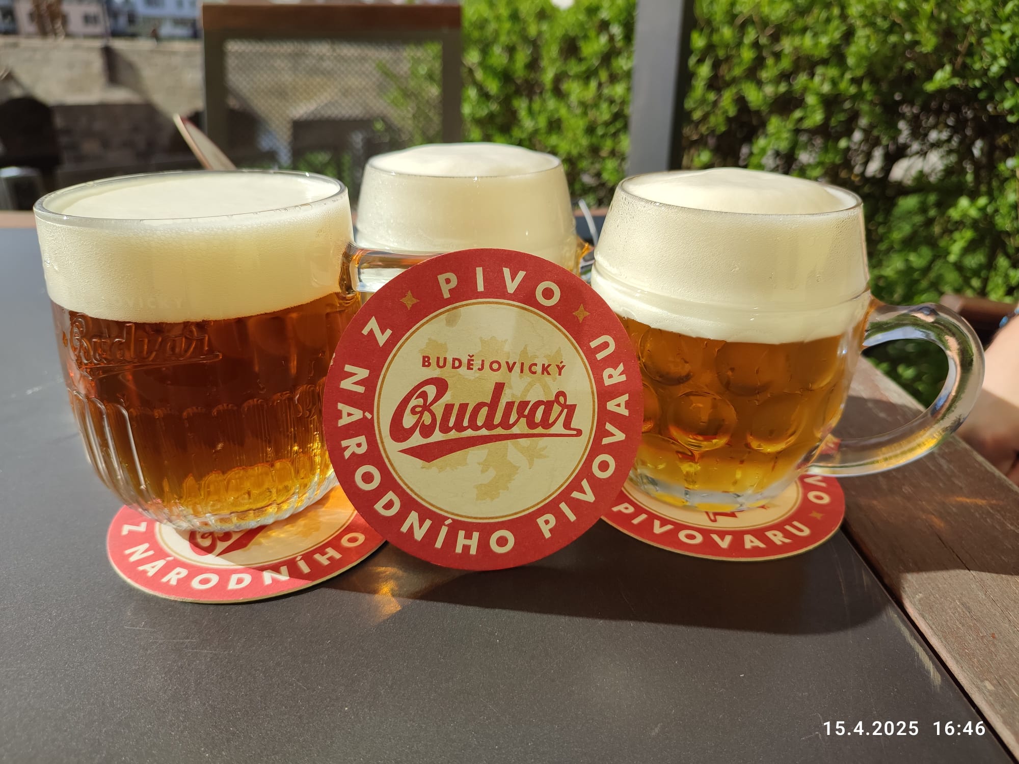 Restaurace u Kamenného mostu foto 6