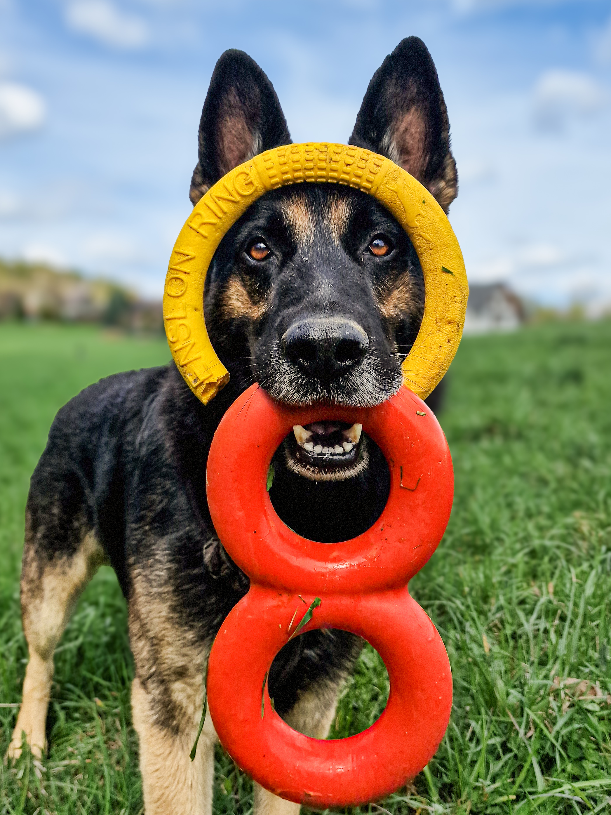 Veterina Rožnov pod Radhoštěm foto 2