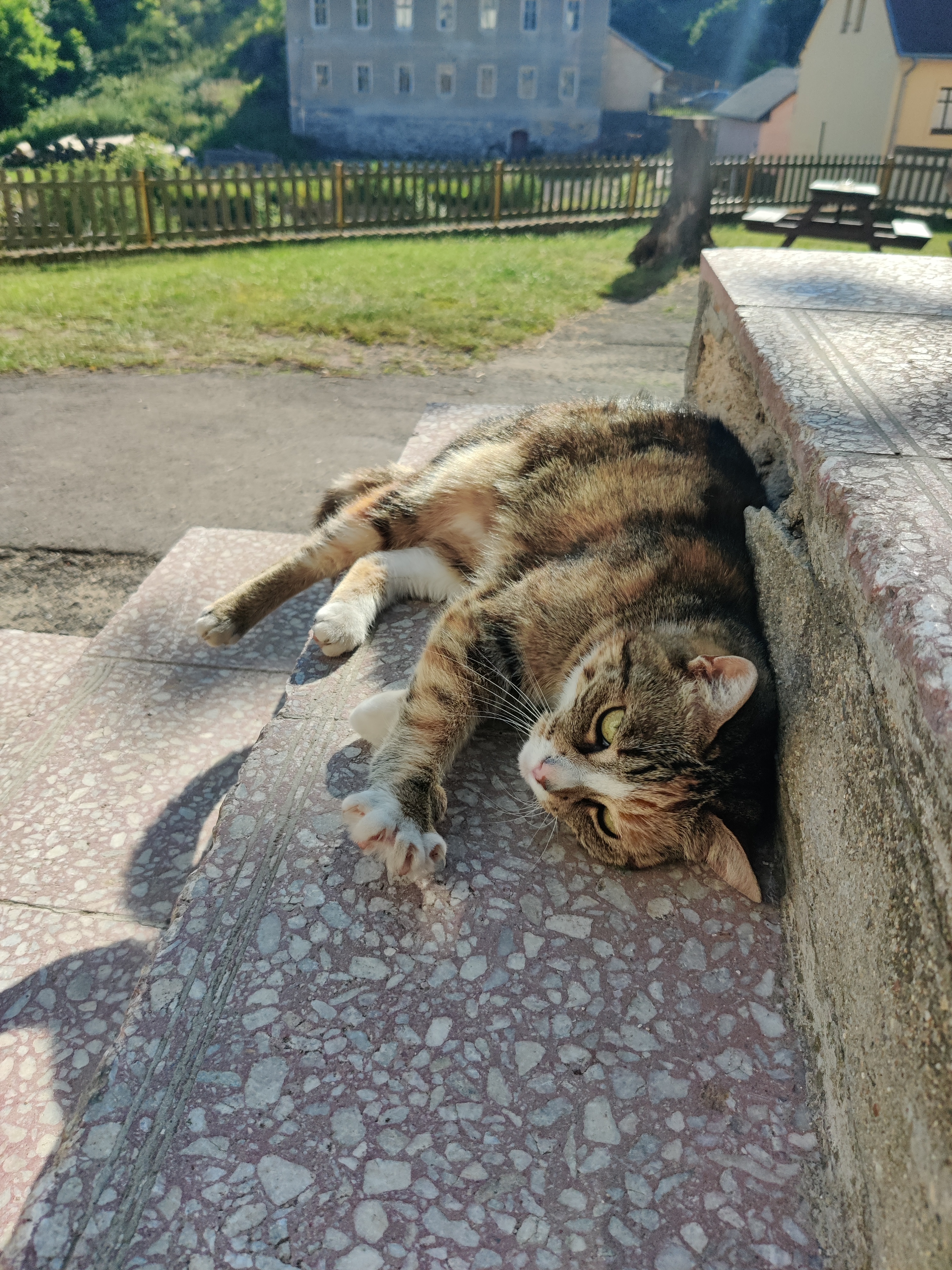 Pension U Horáčků foto 2