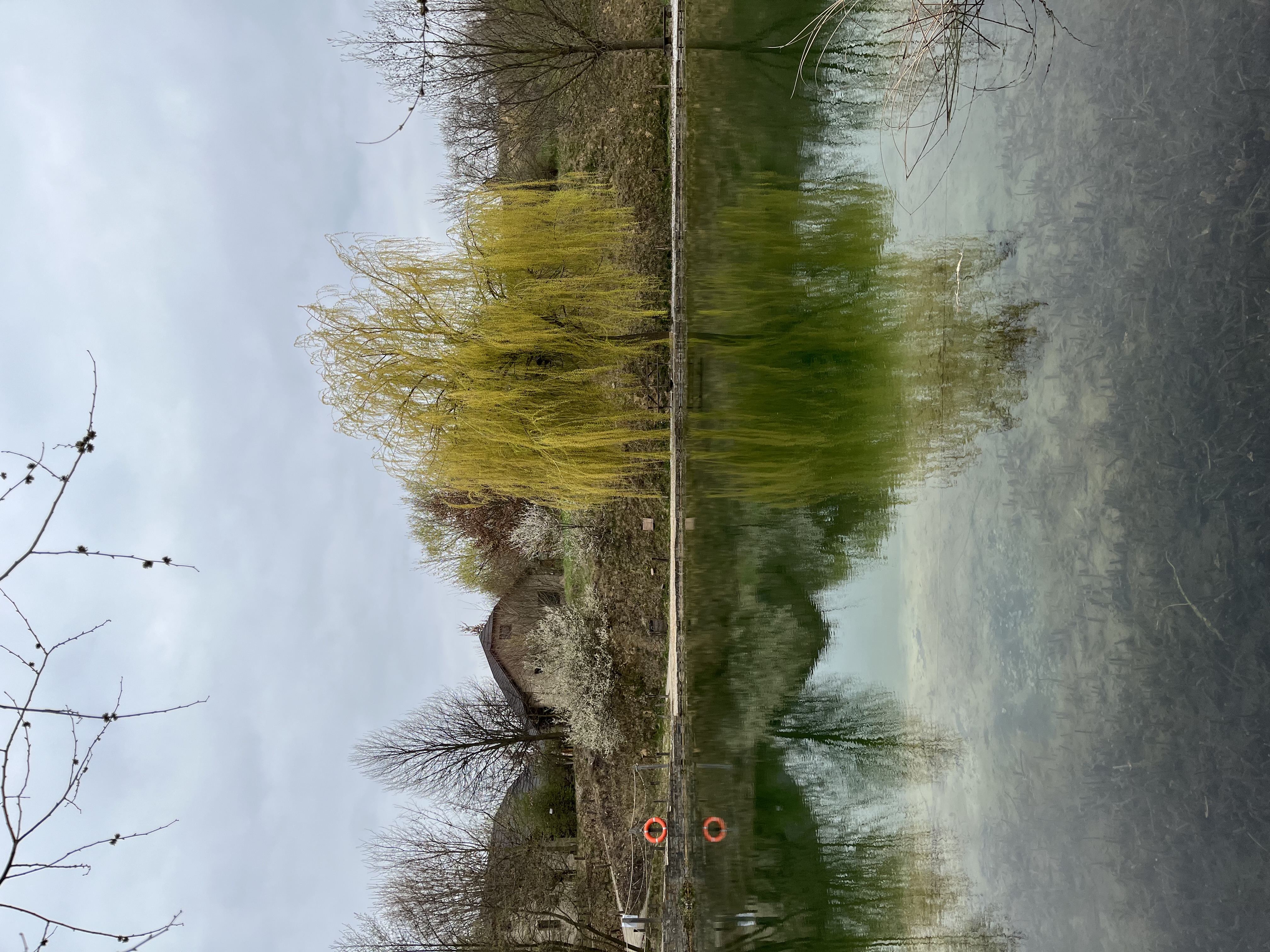 Přírodní koupací biotop Modrá foto 4