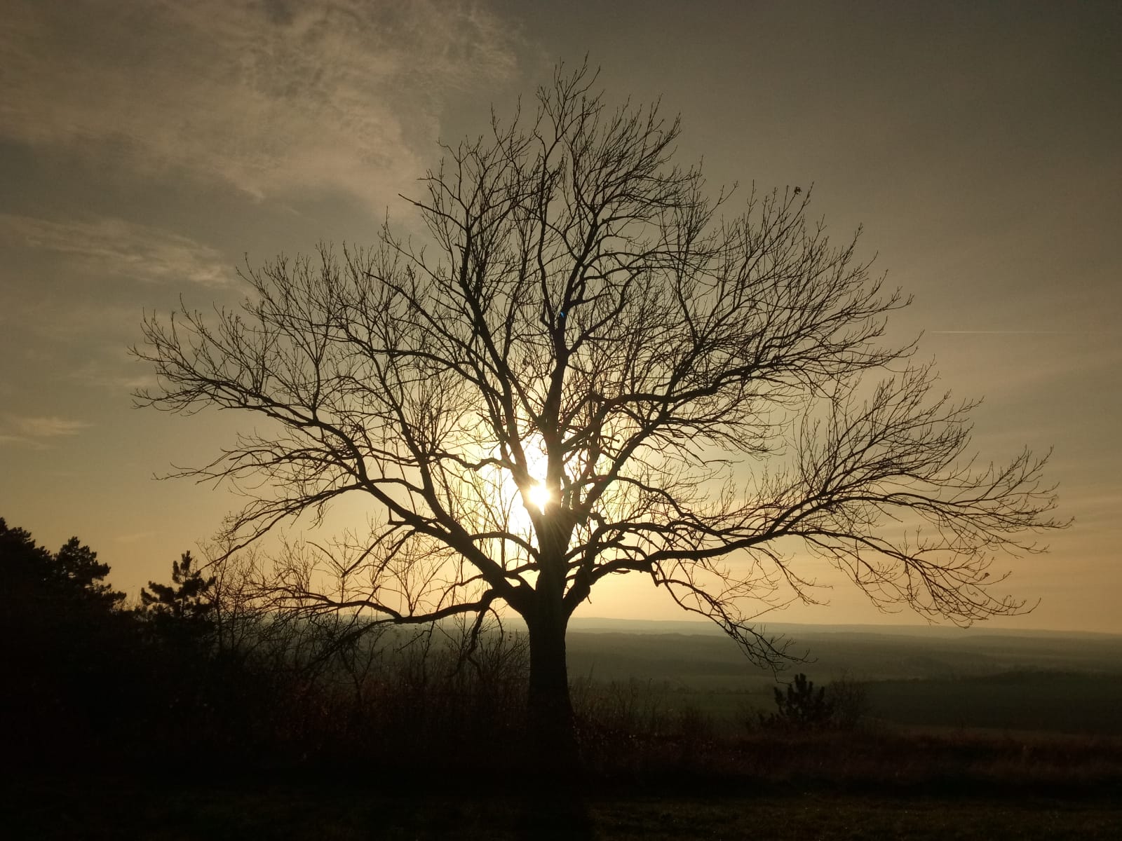 Zahradnictví La Toscana foto 2