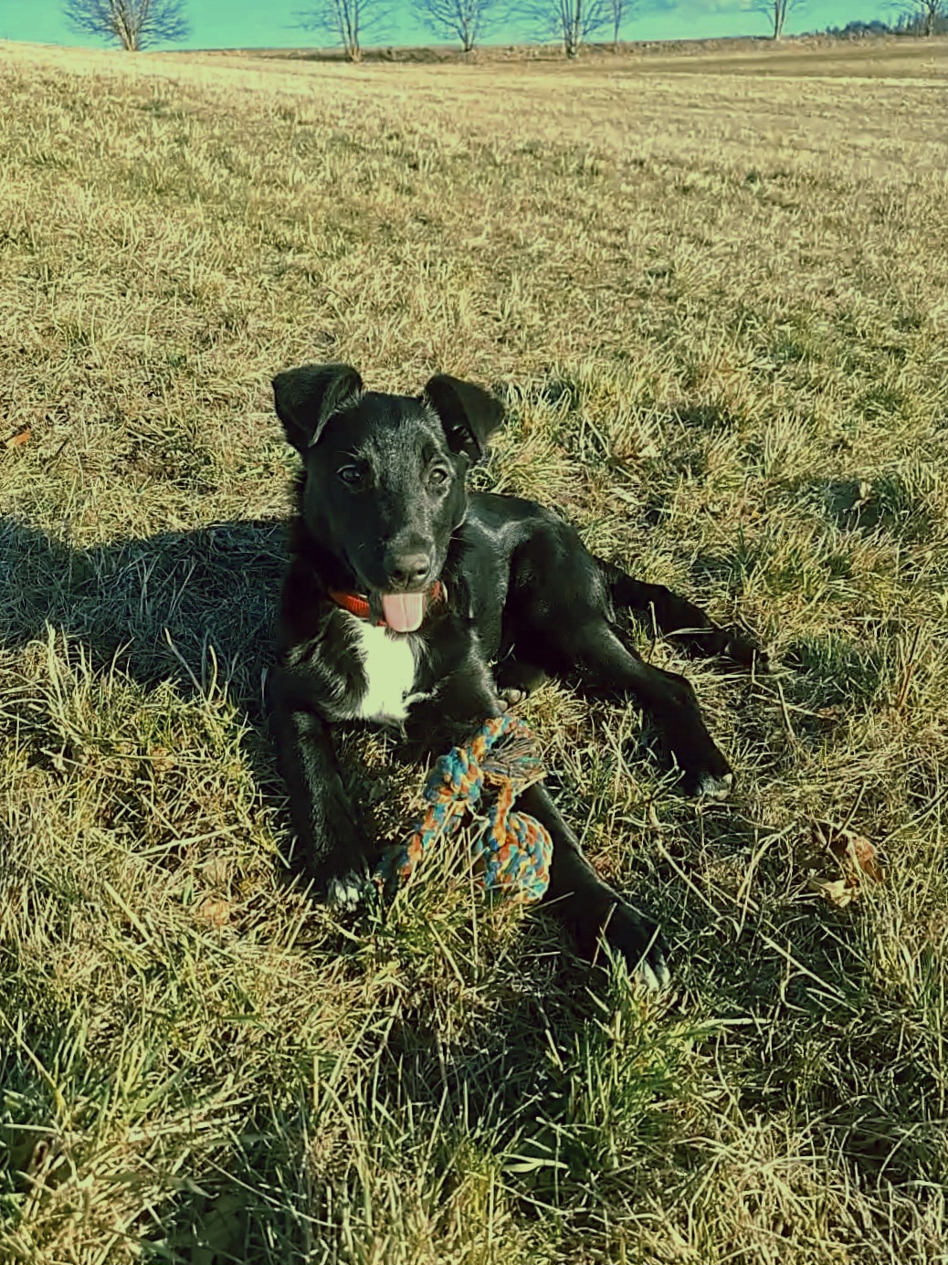 BUDvet Rožnov foto 6