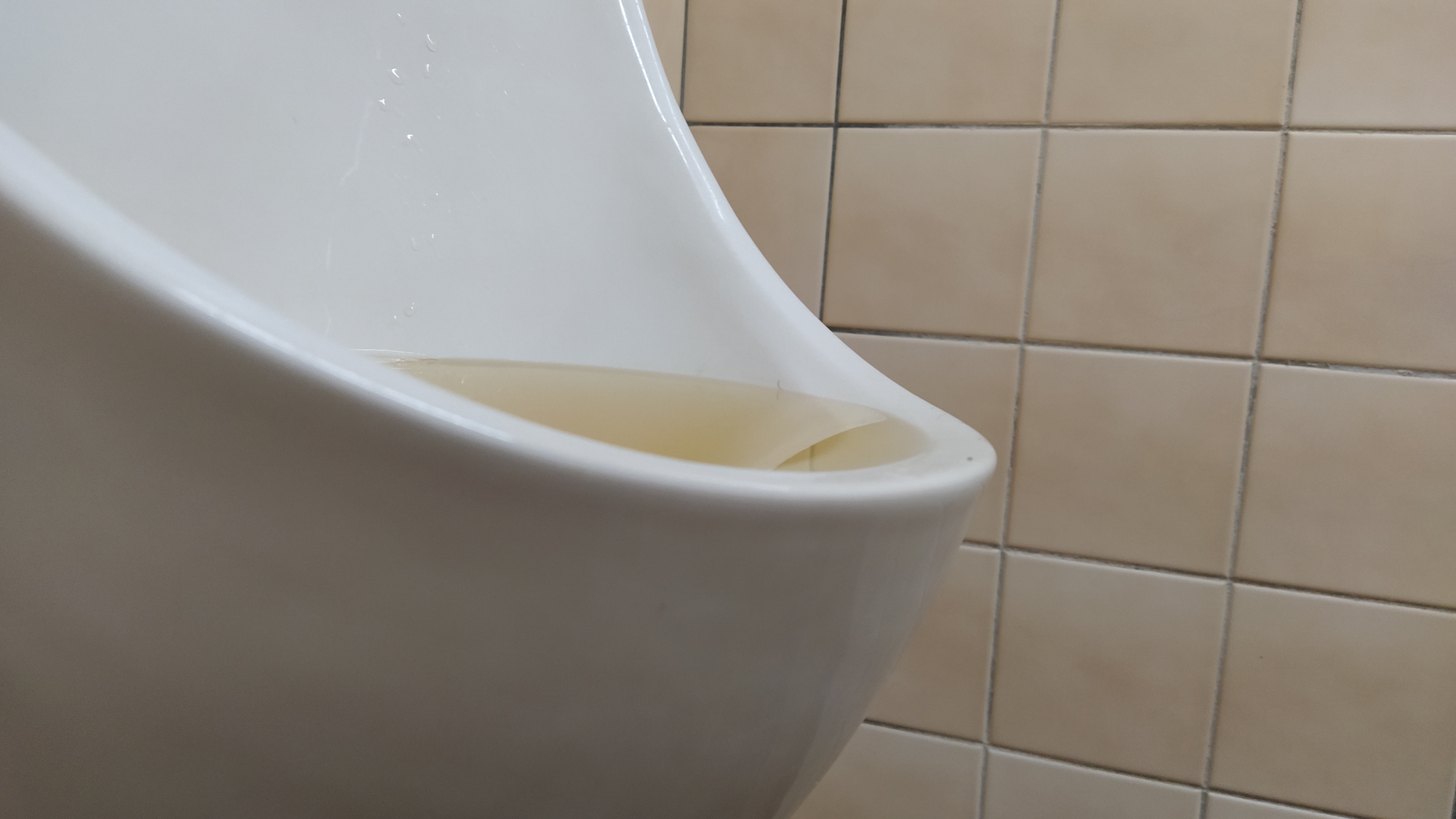 Vysoké učení technické v Brně - Purkyňovy koleje foto 1