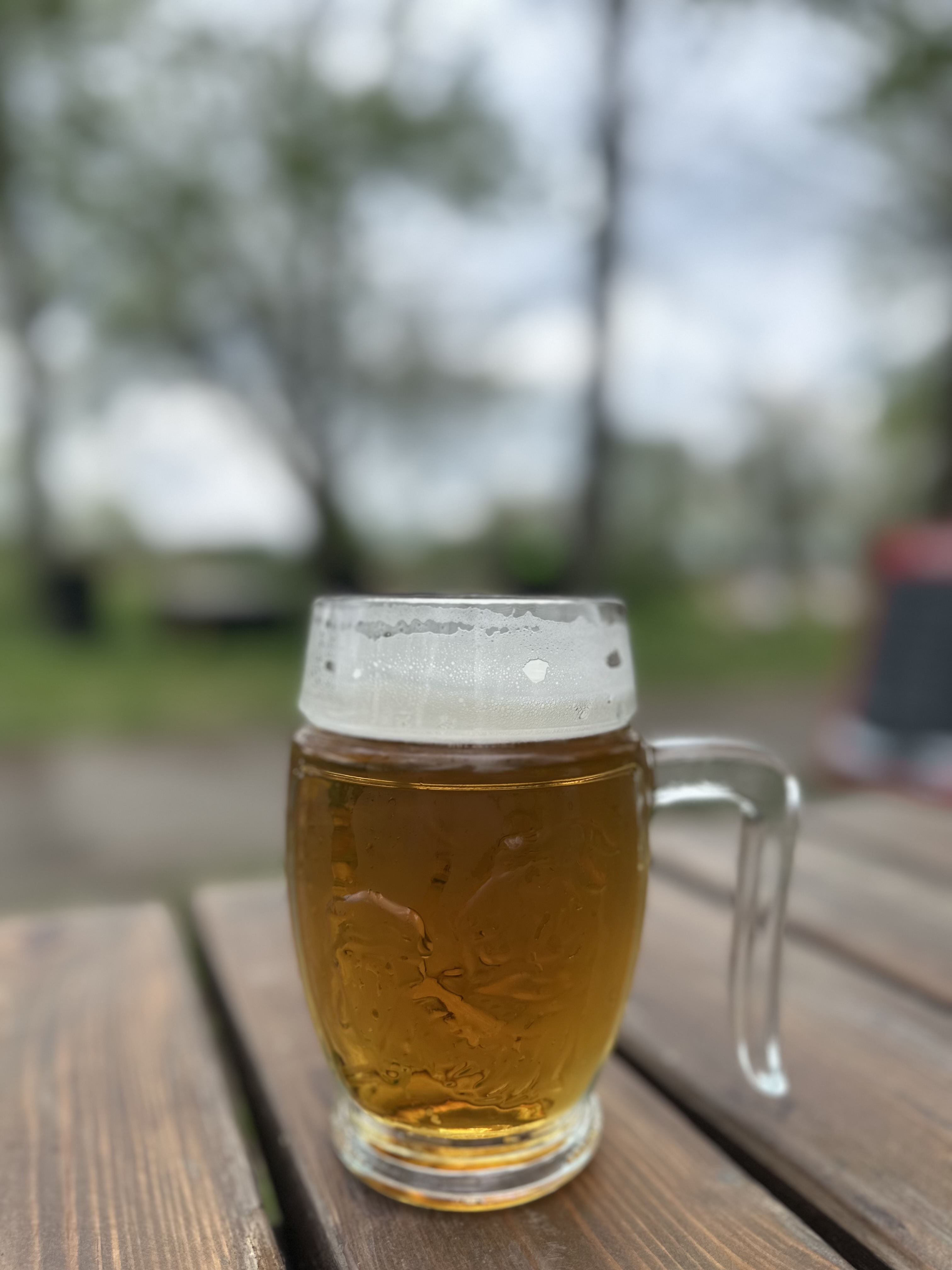 Občerstvení u Labe foto 2