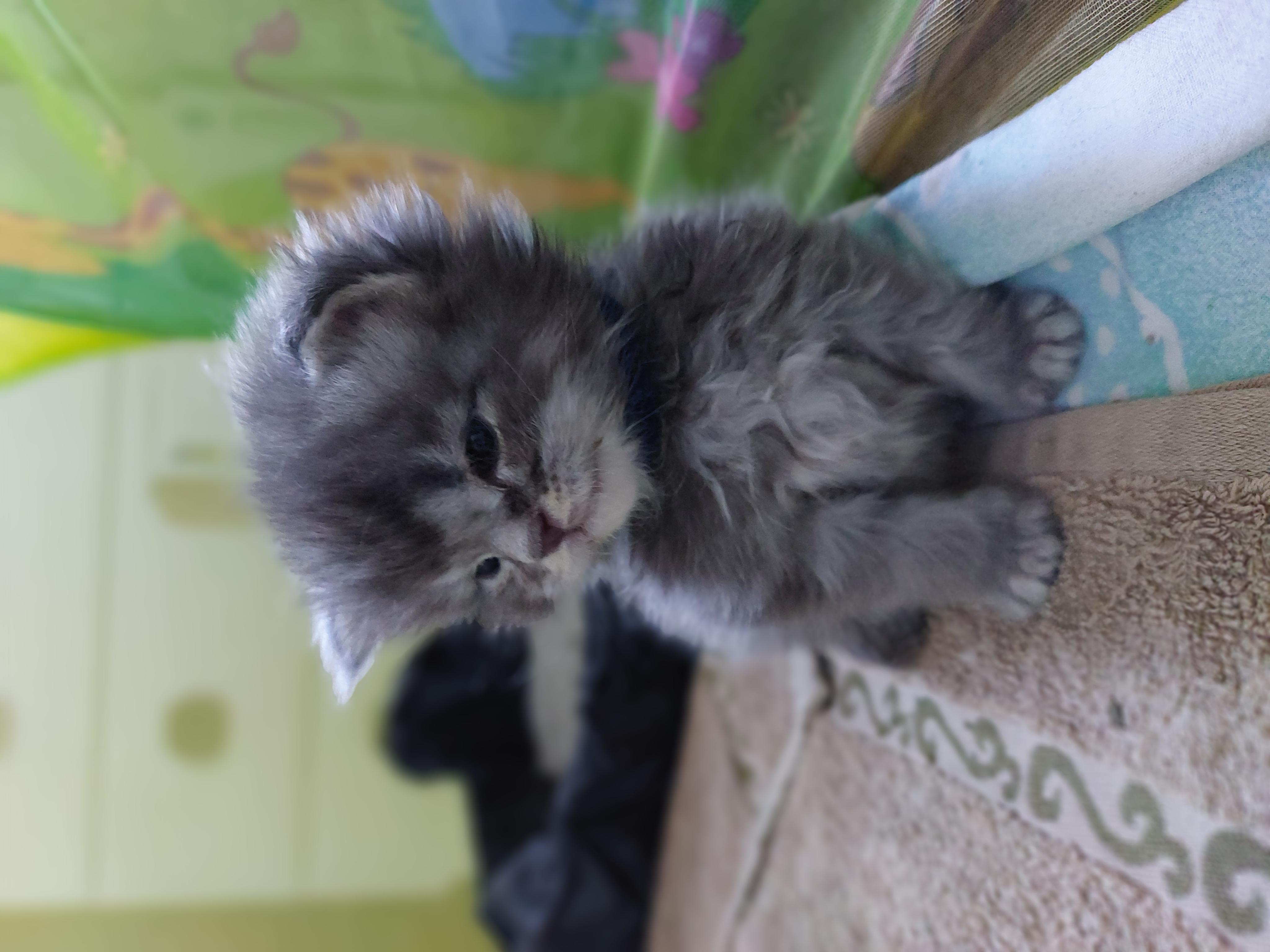 Veterinární ošetřovna MVDr. Šárka Staňková foto 3