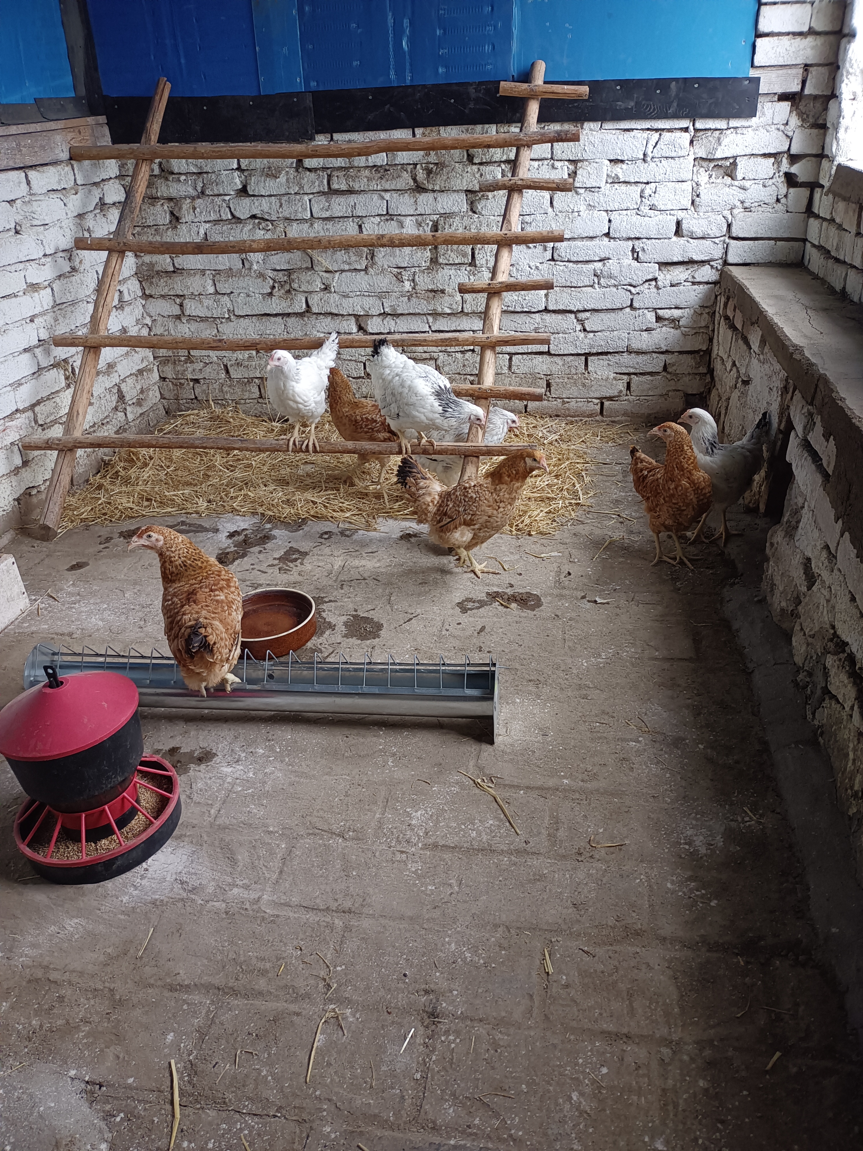 LÍHEŇ STUDENEC, s.r.o. foto 2