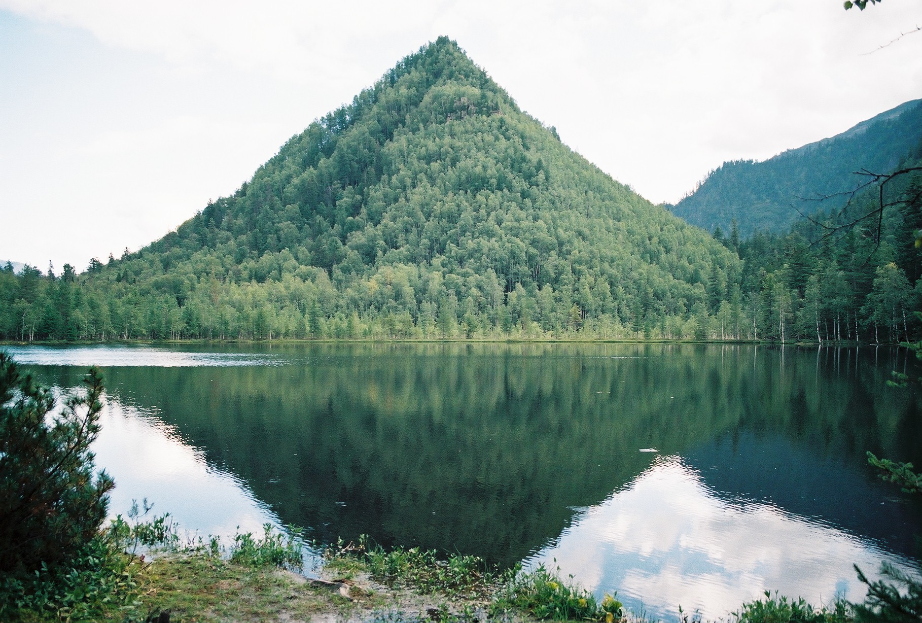 Zahradnictví La Toscana foto 4