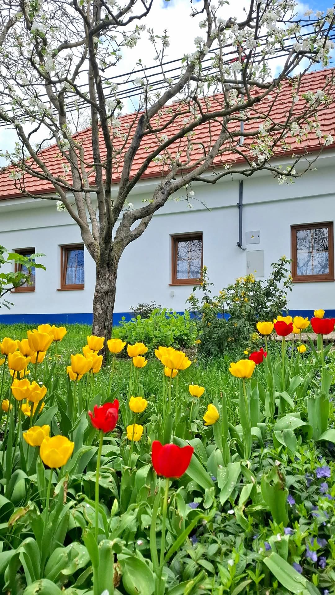 Ubytování Pod Ořechem foto 3