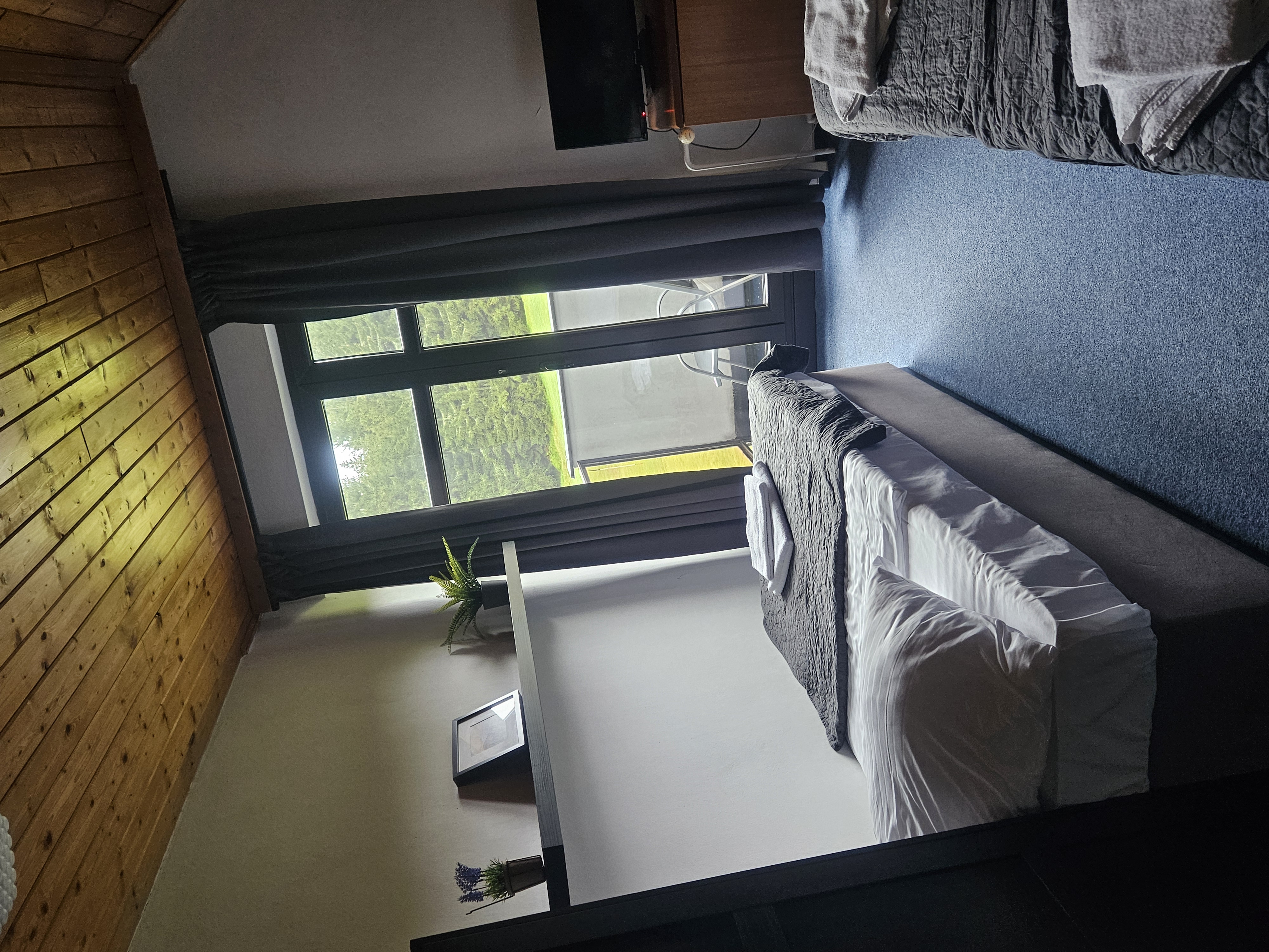 Wellness Hotel Šedý Vlk foto 2