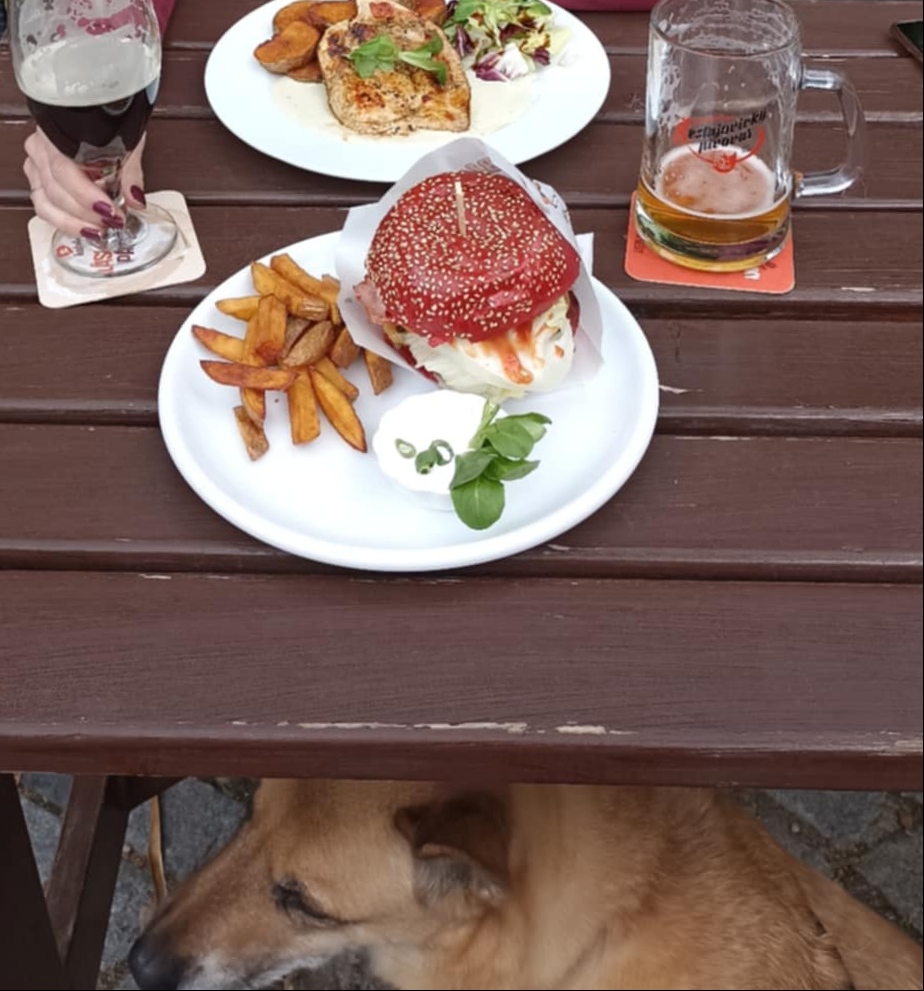 Šestajovický pivovar foto 4