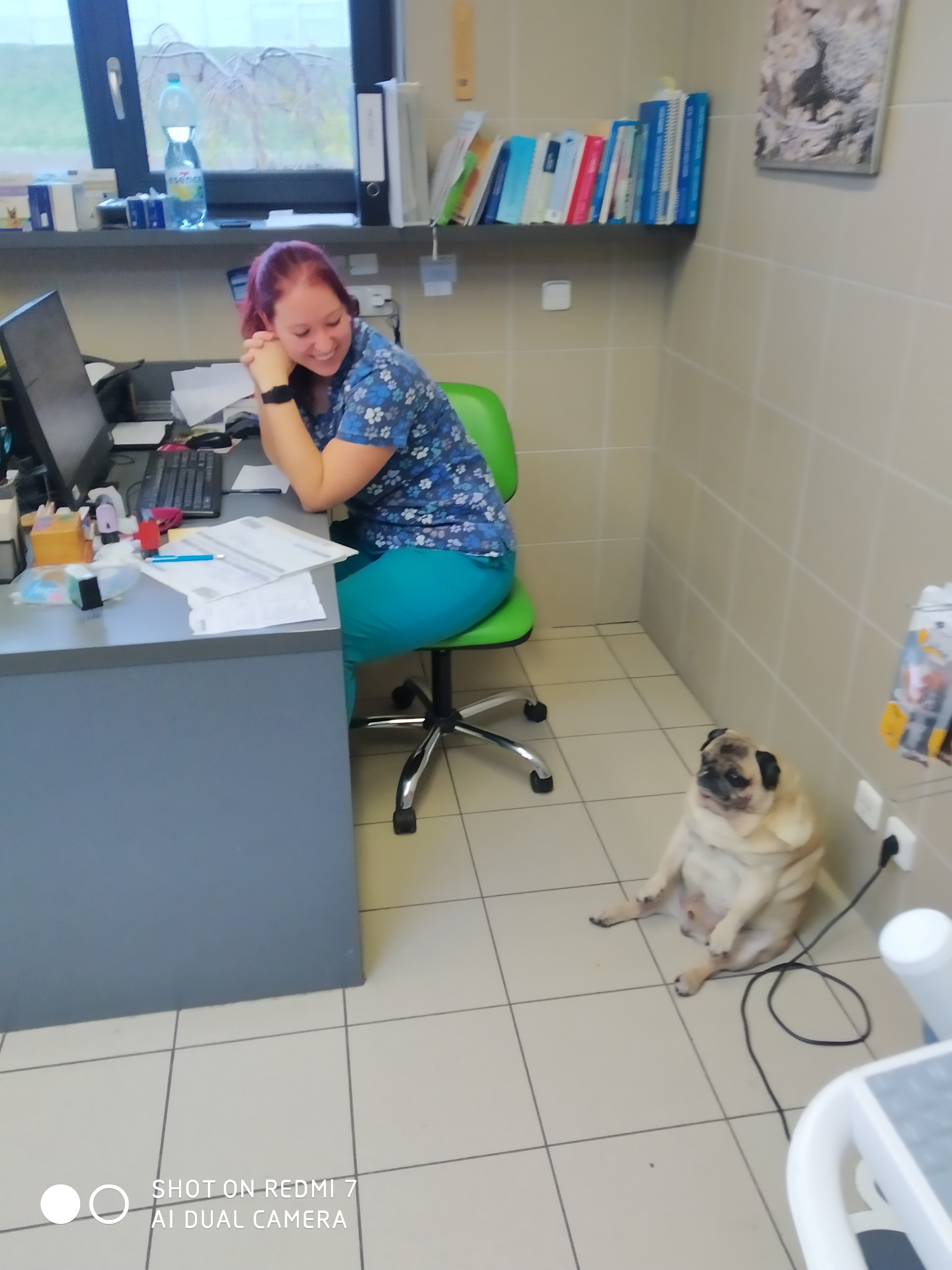 Veterinární klinika MVDr. Gebauer Marek foto 6