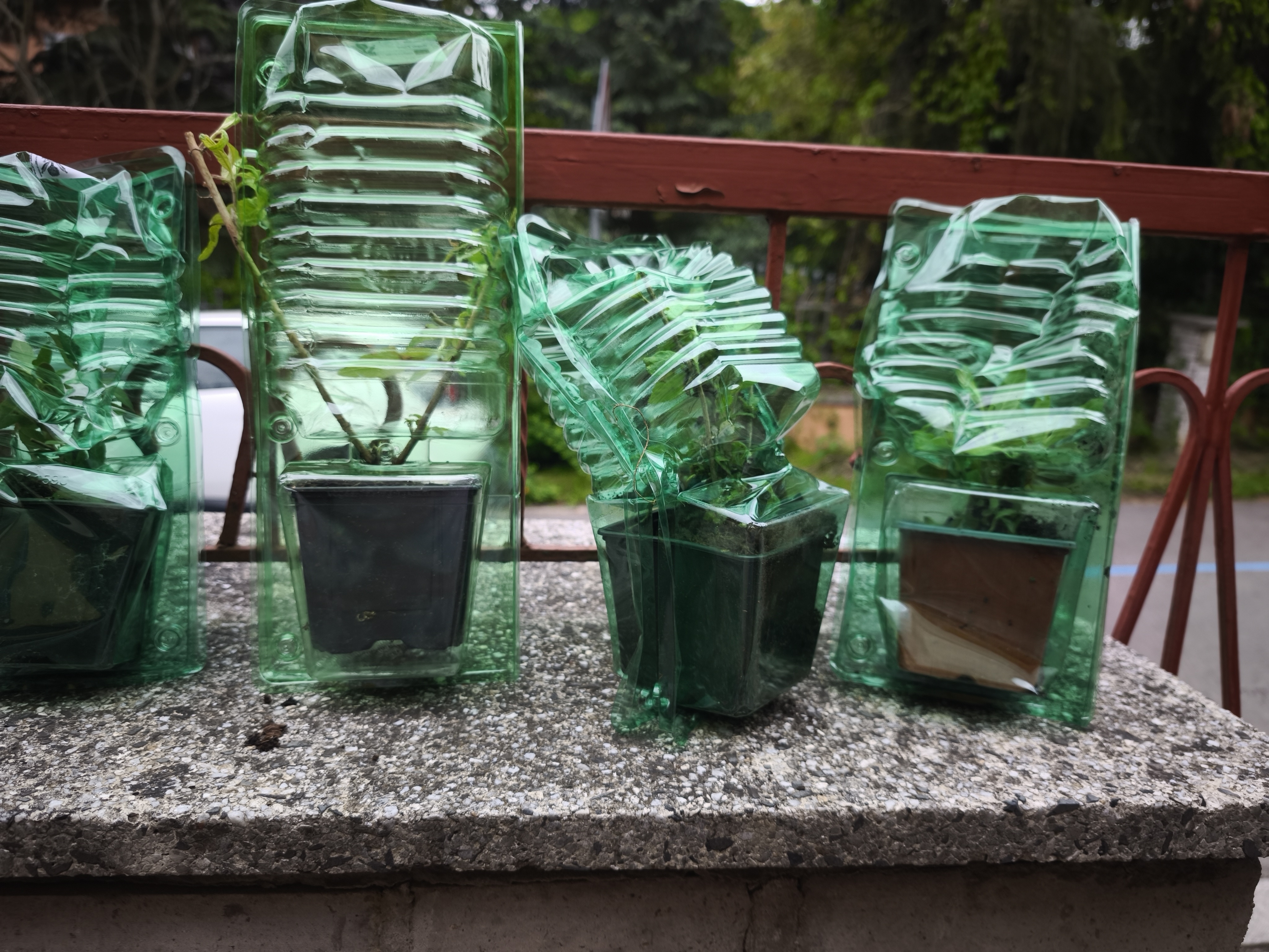 Zahradnictvi-rool.cz foto 2