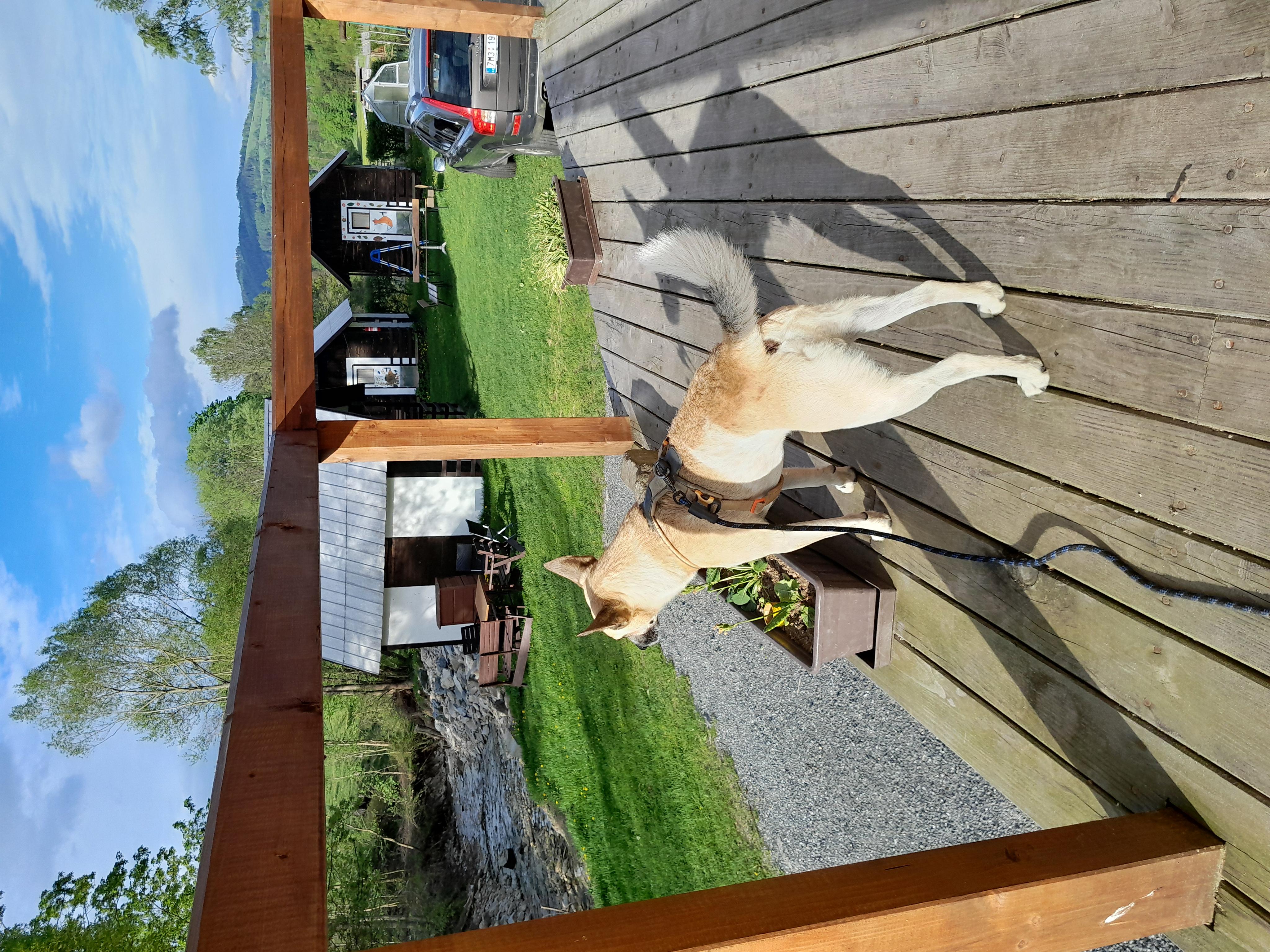 Kralická chata foto 4