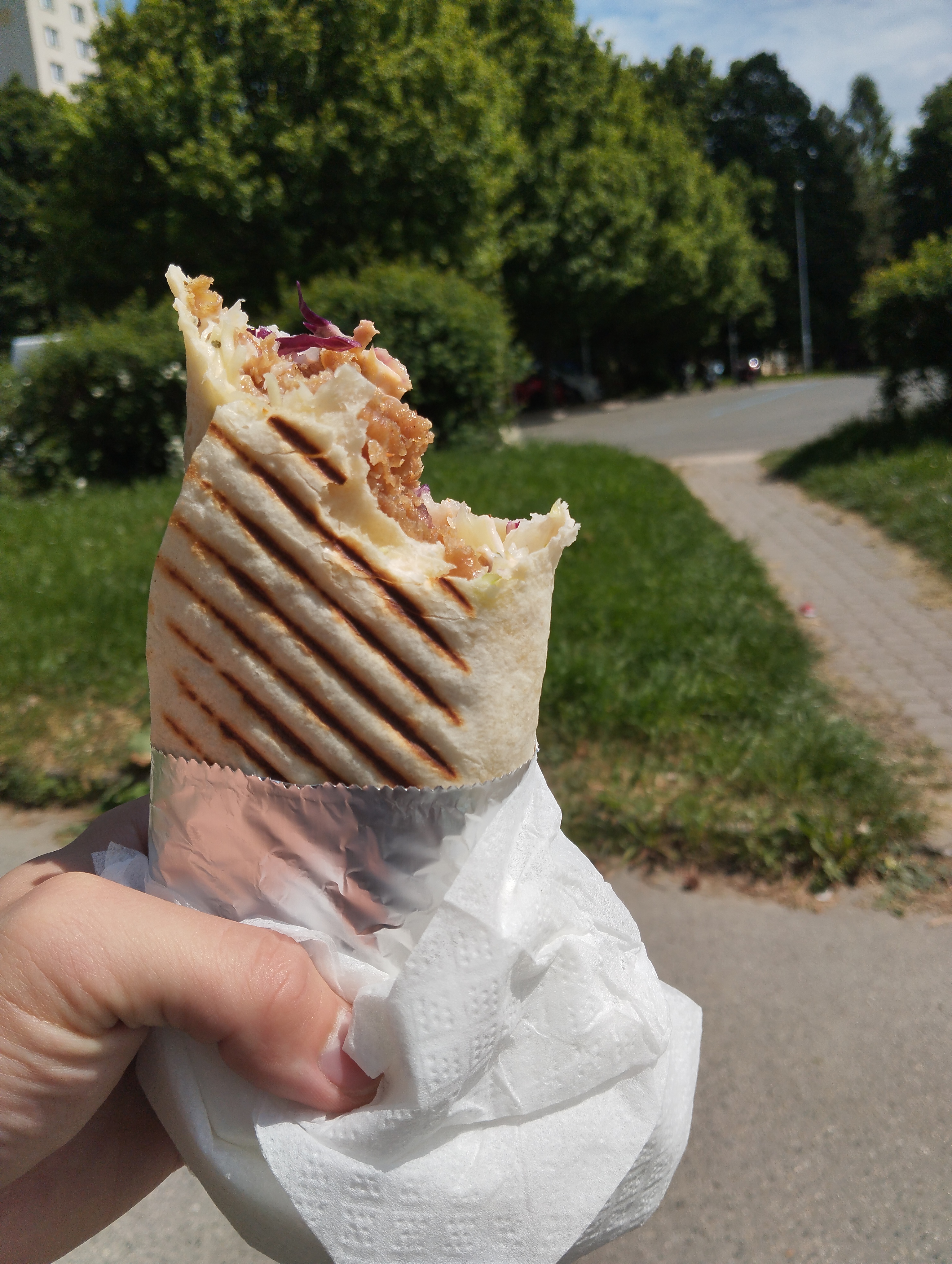 Lion kebab foto 3