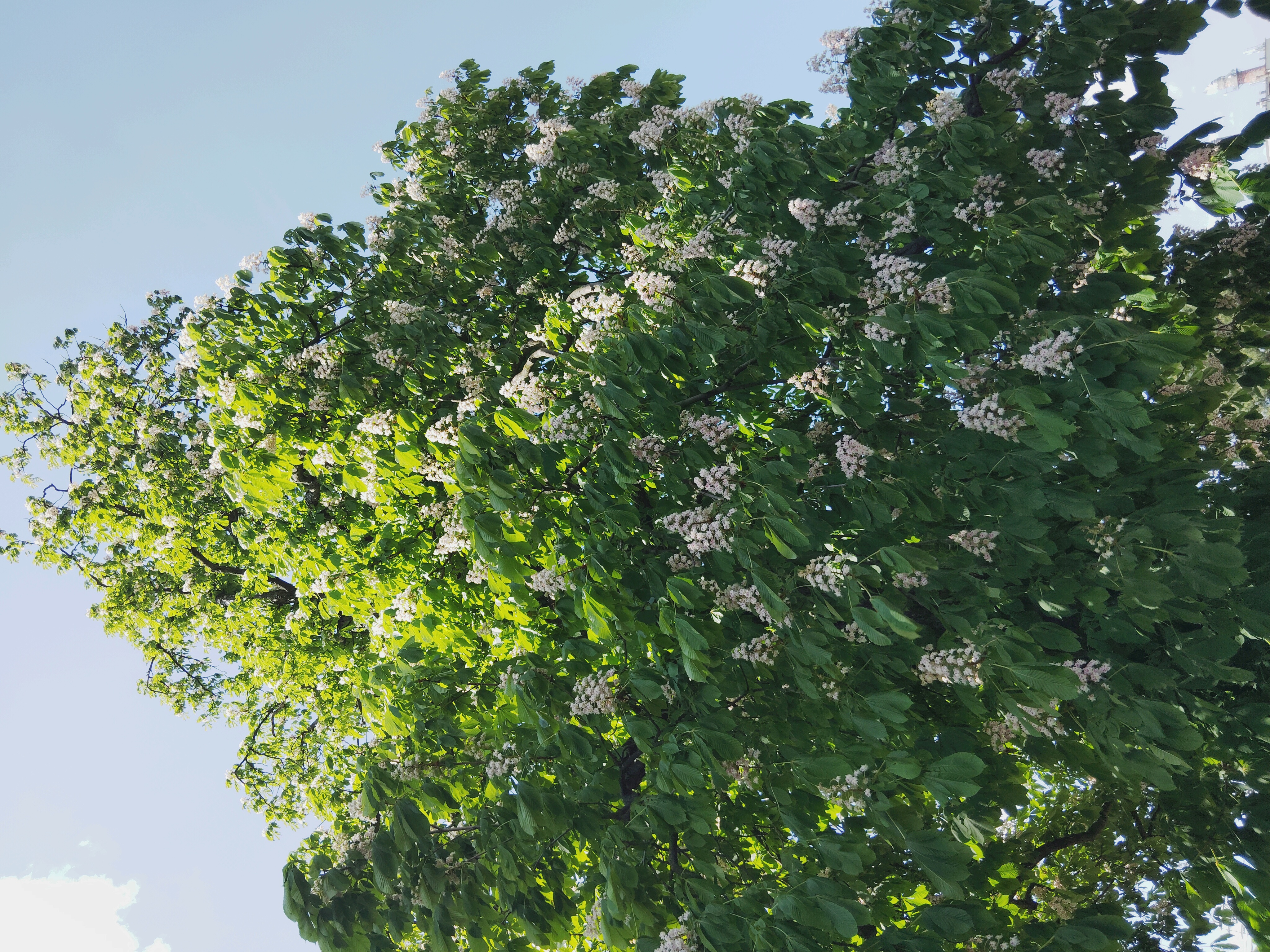 Restaurace a penzion U nádraží foto 4