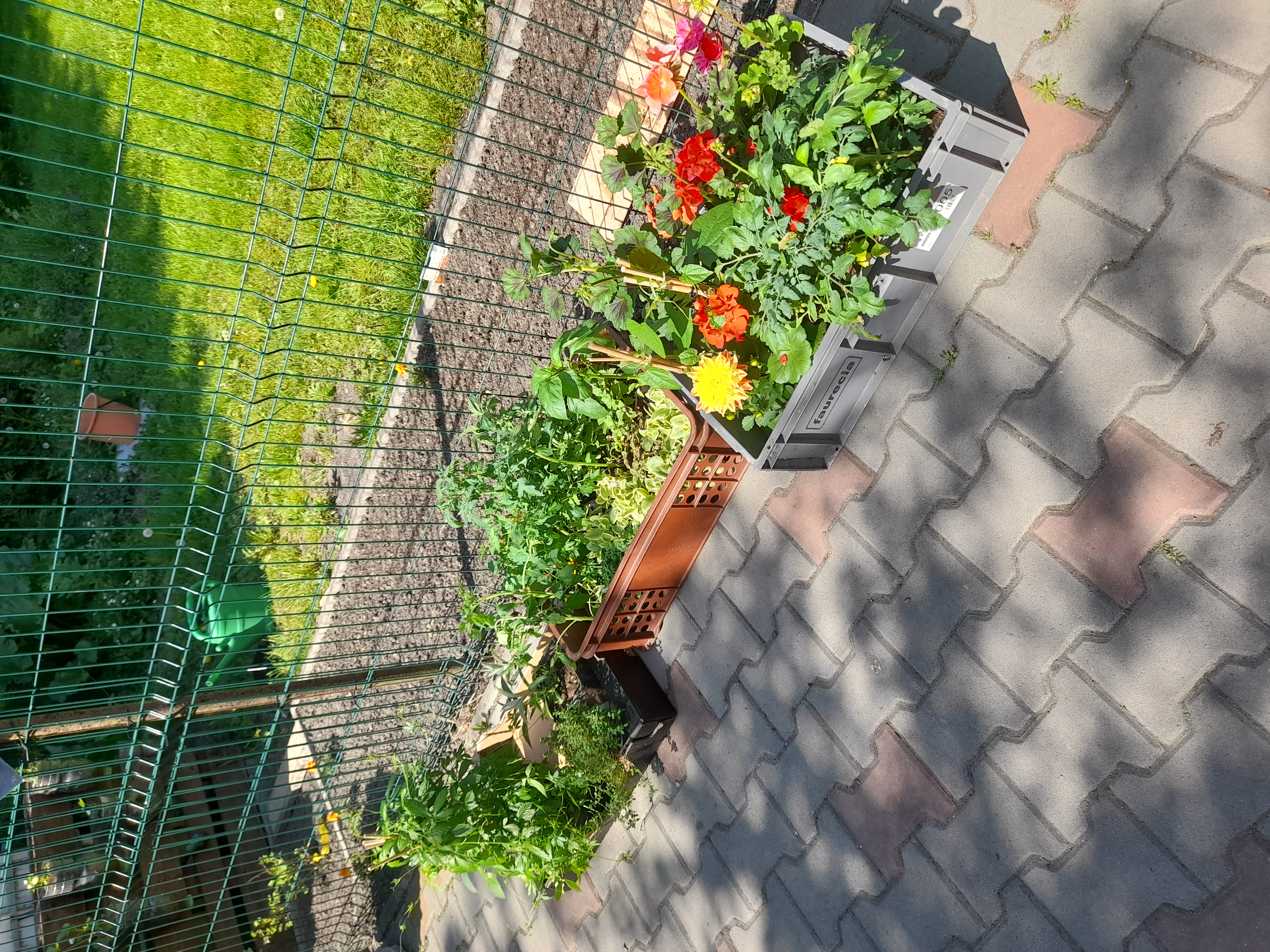 Zahradnictví Bačina - Závlaha foto 5