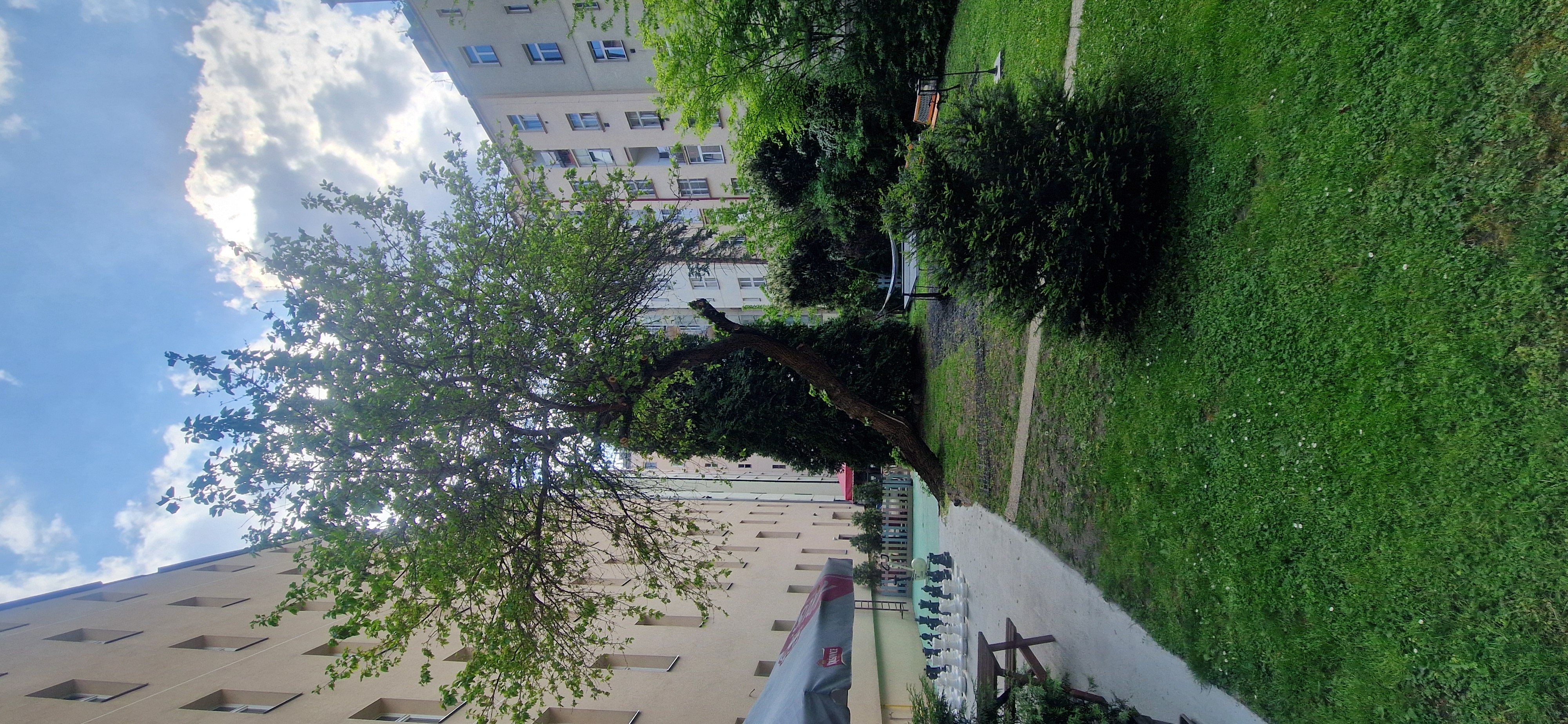Hostel Dakura foto 2