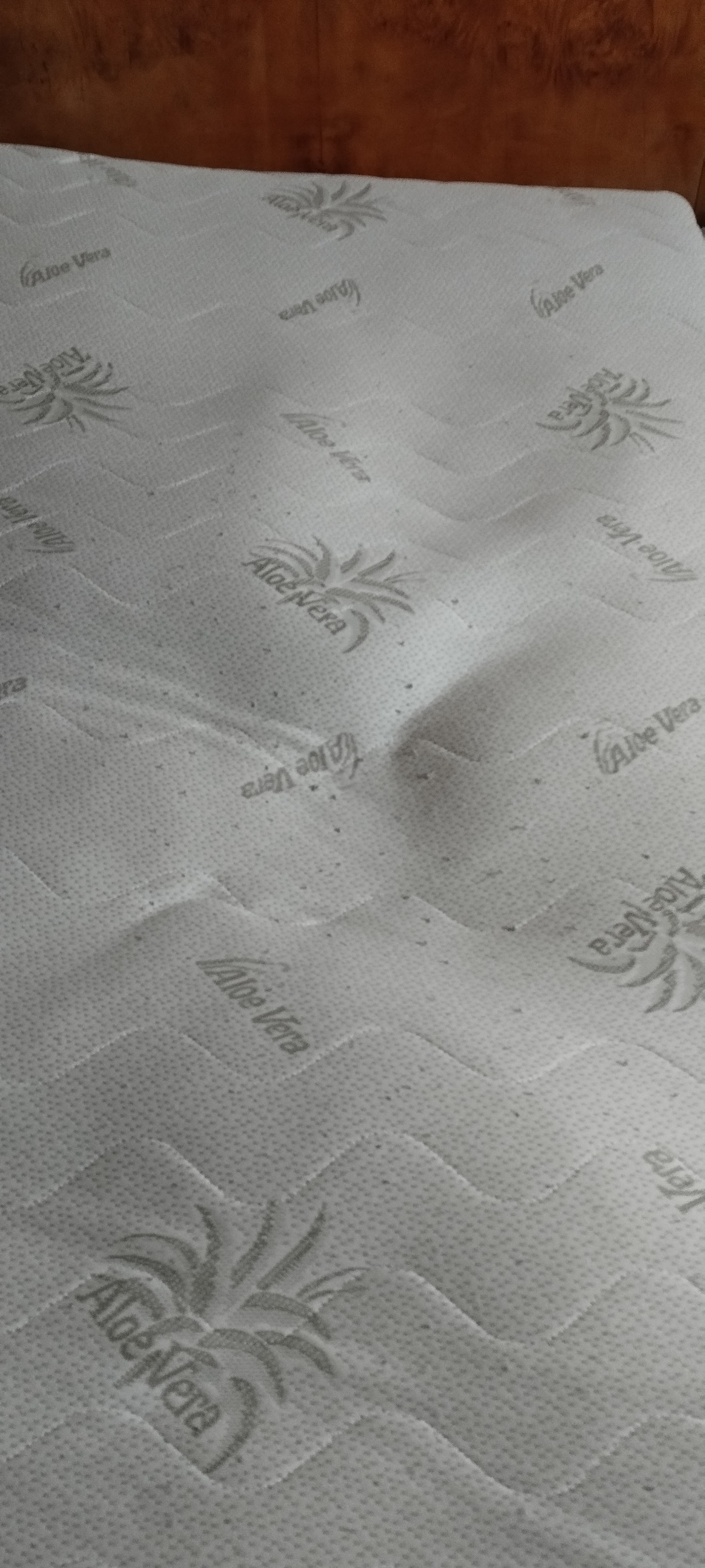 Wilsondo.cz foto 2