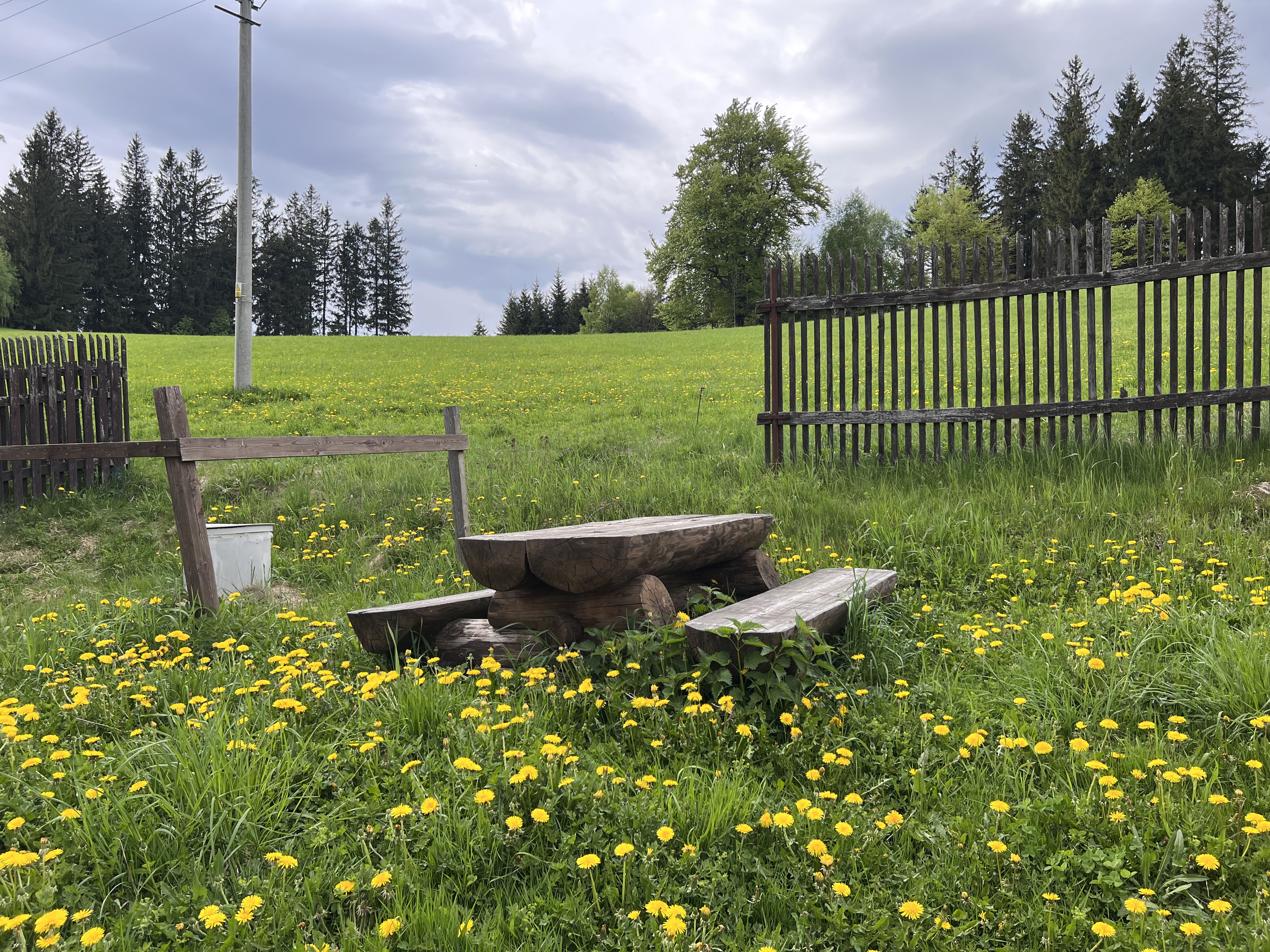 Bezručova škola foto 5