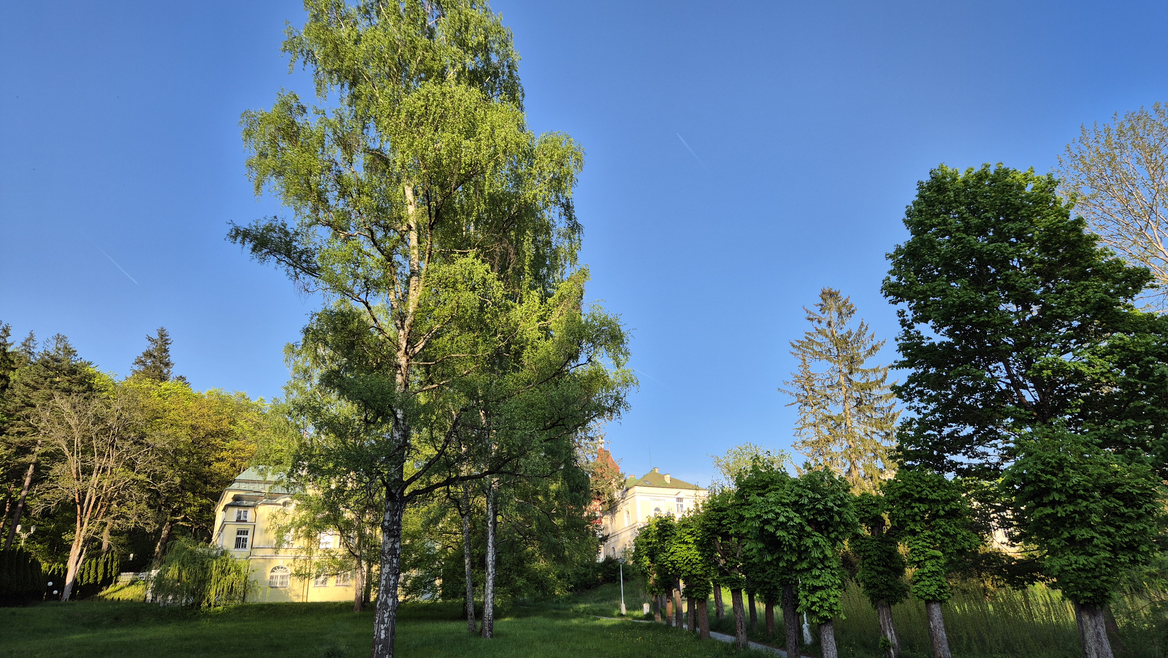 Hotel St. Antonius foto 6
