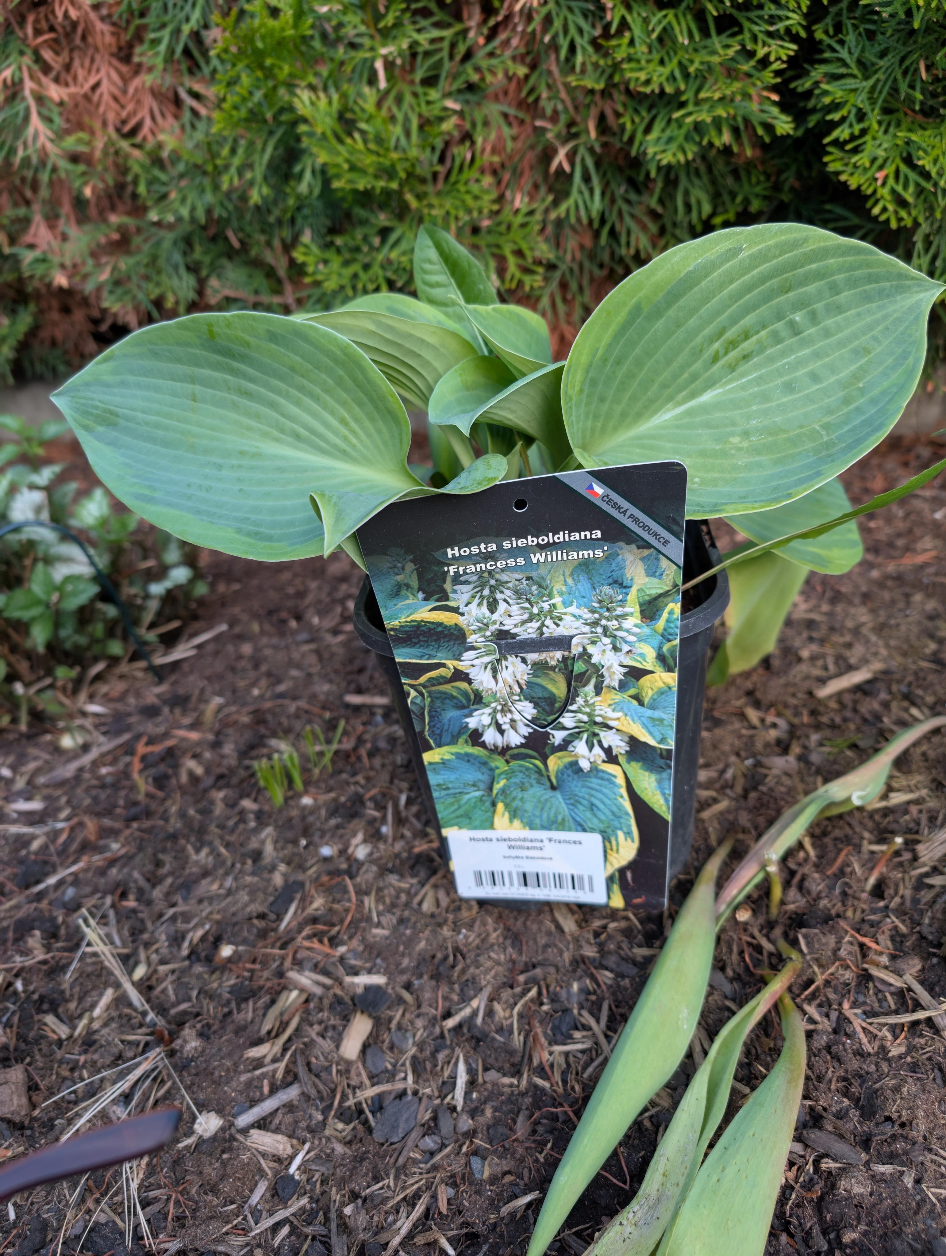 Zahradní a parková, spol. s r.o. foto 5