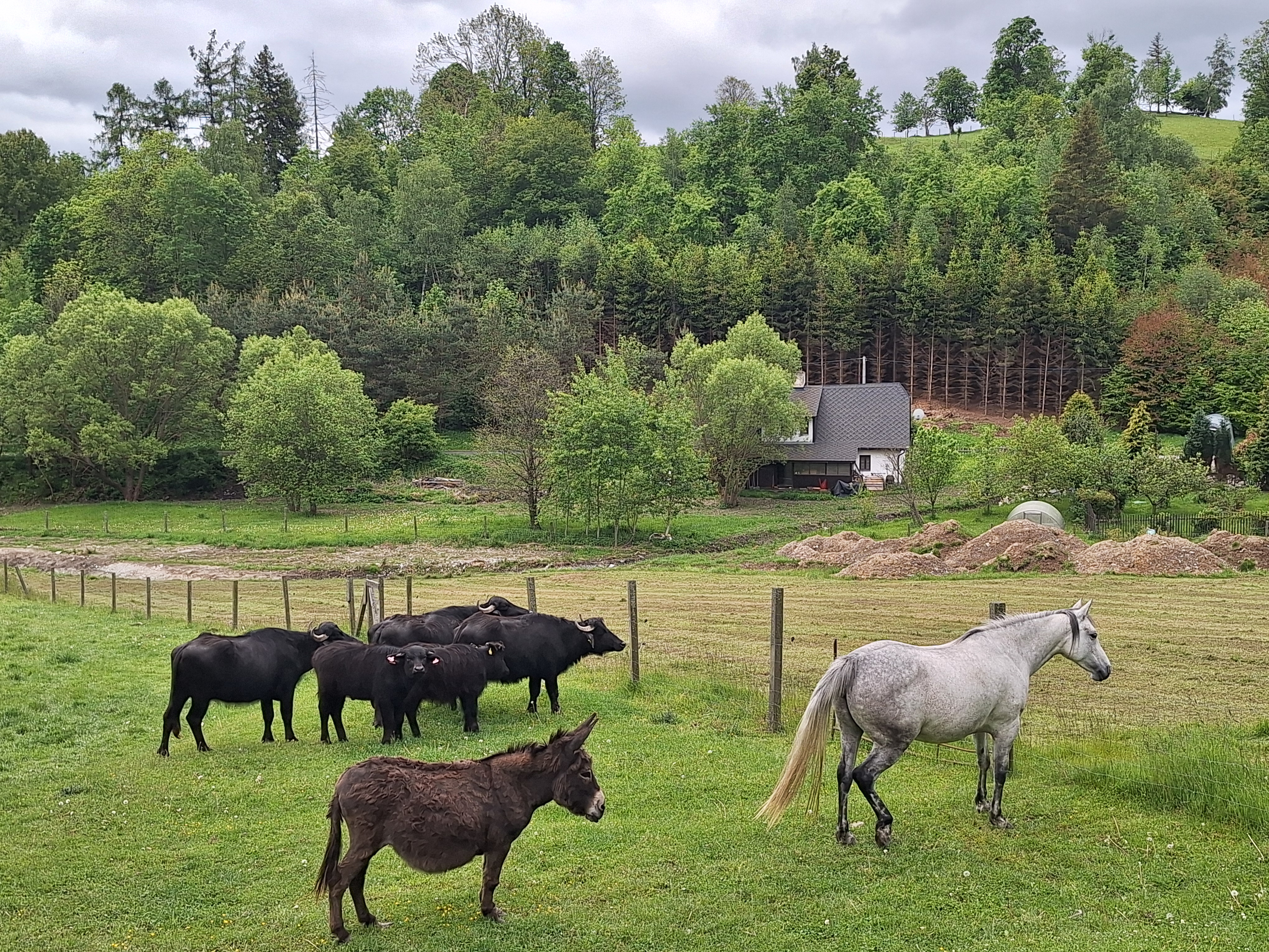 Zoopark Holčovice foto 3
