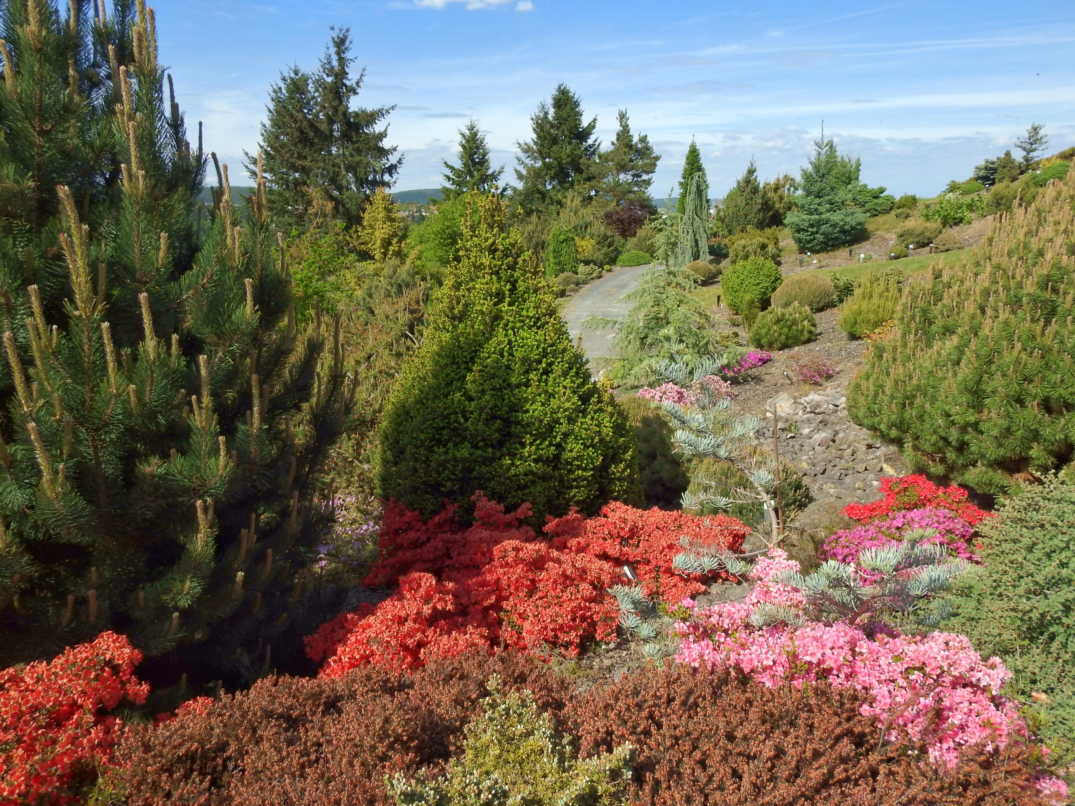 ARBORETUM VŠENORY foto 5