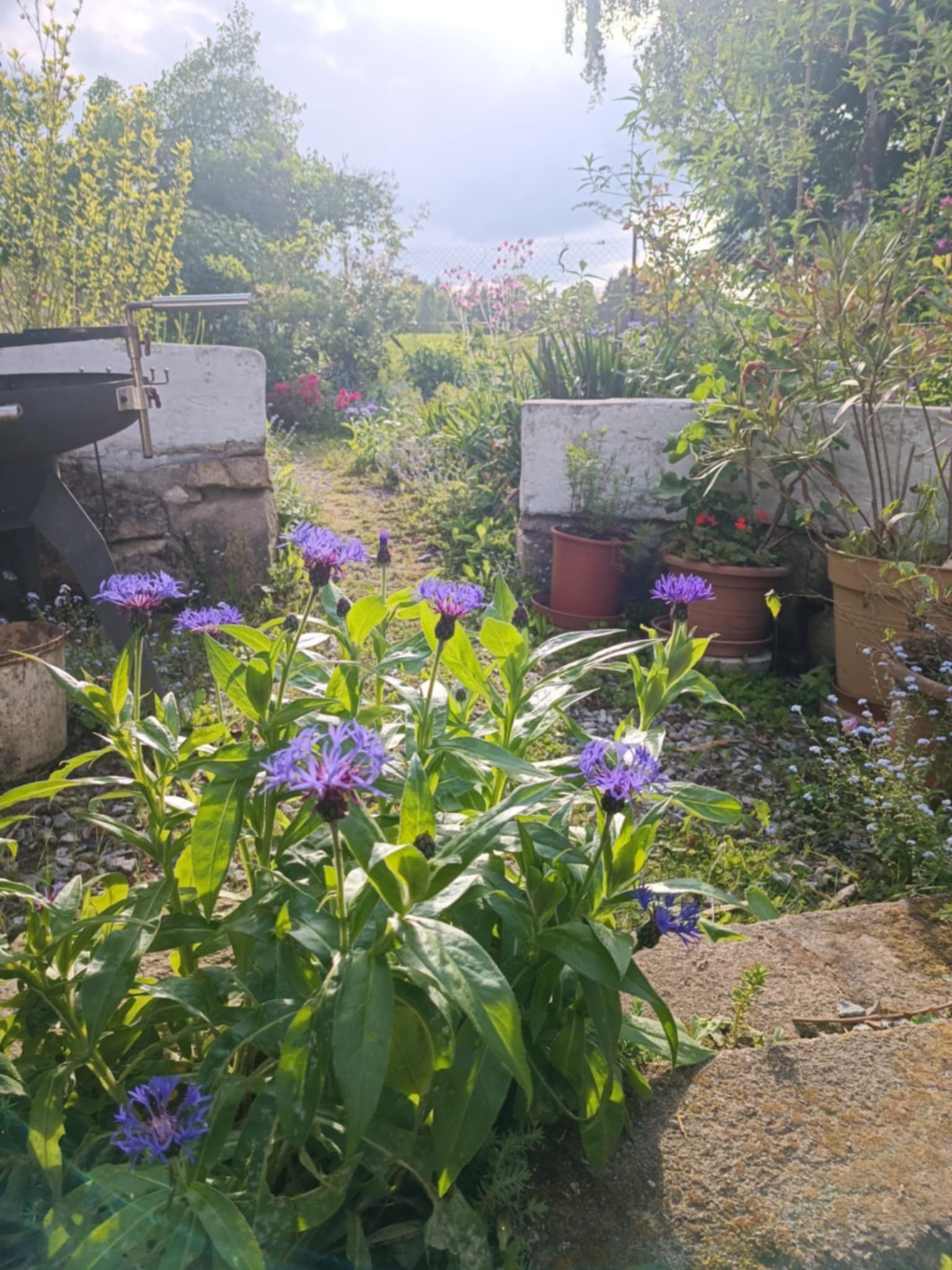 Ubytování Pod Jilmem foto 5