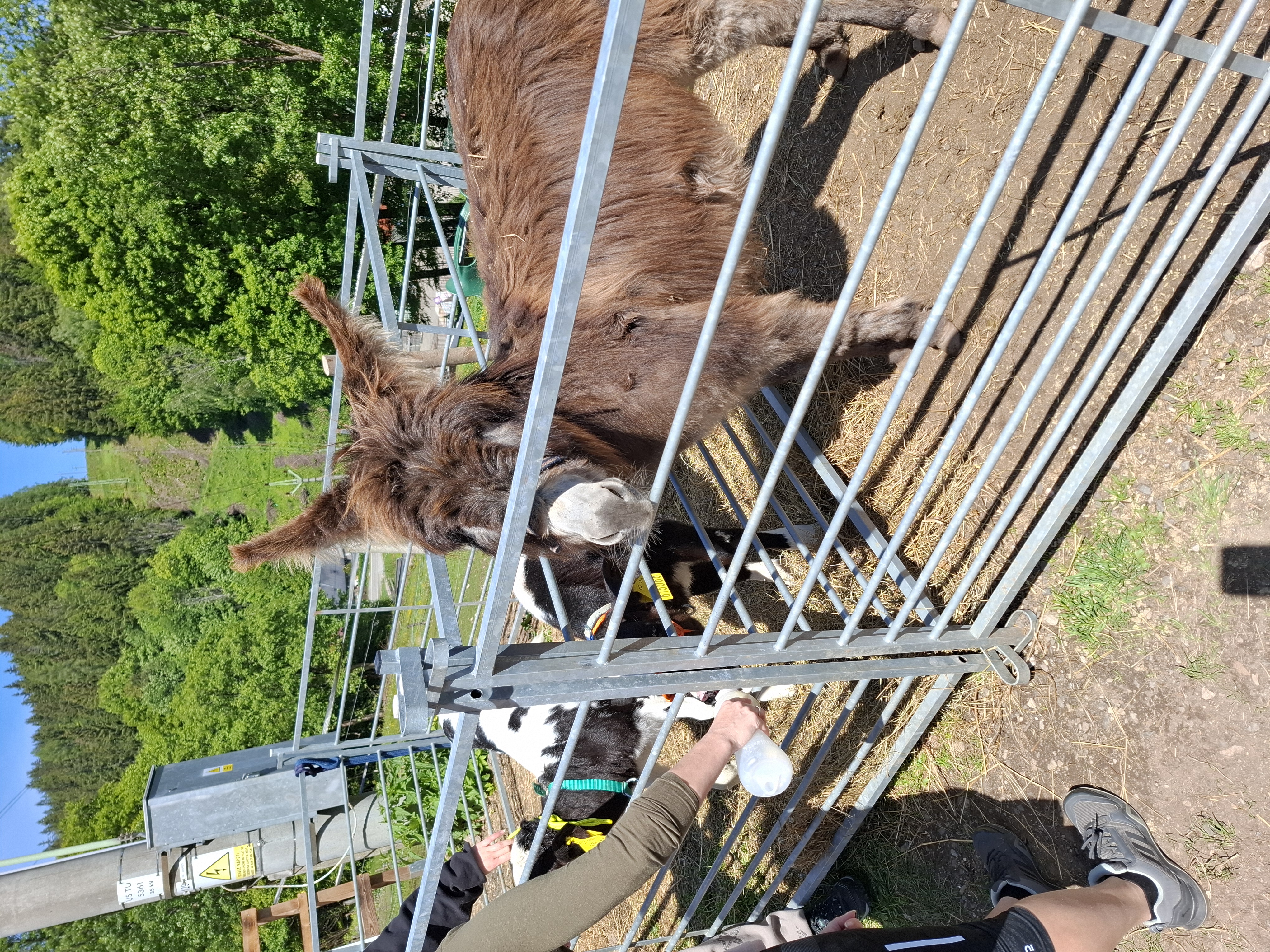 Rodinná farma Vlček foto 3