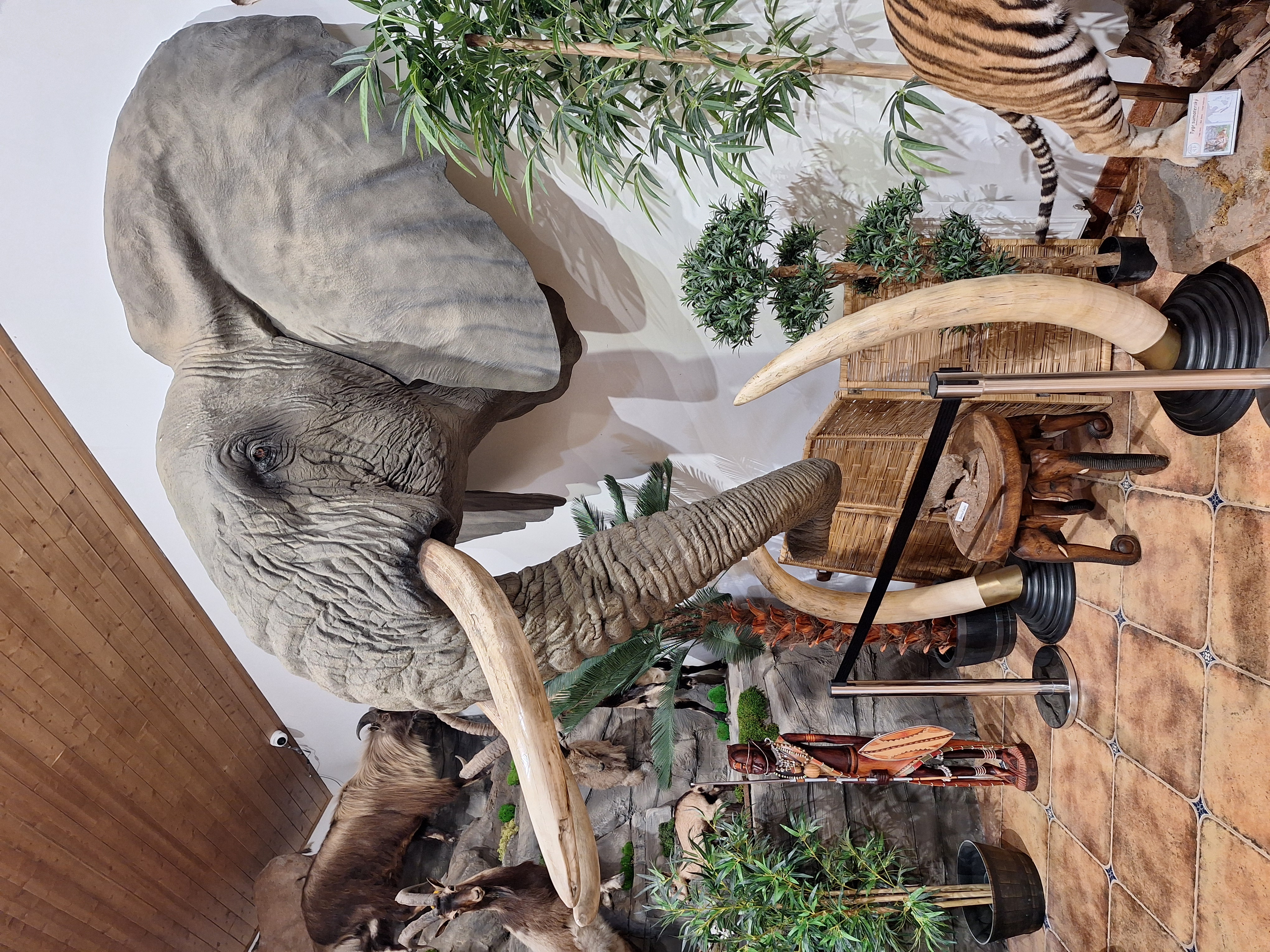Africké muzeum Safari foto 2