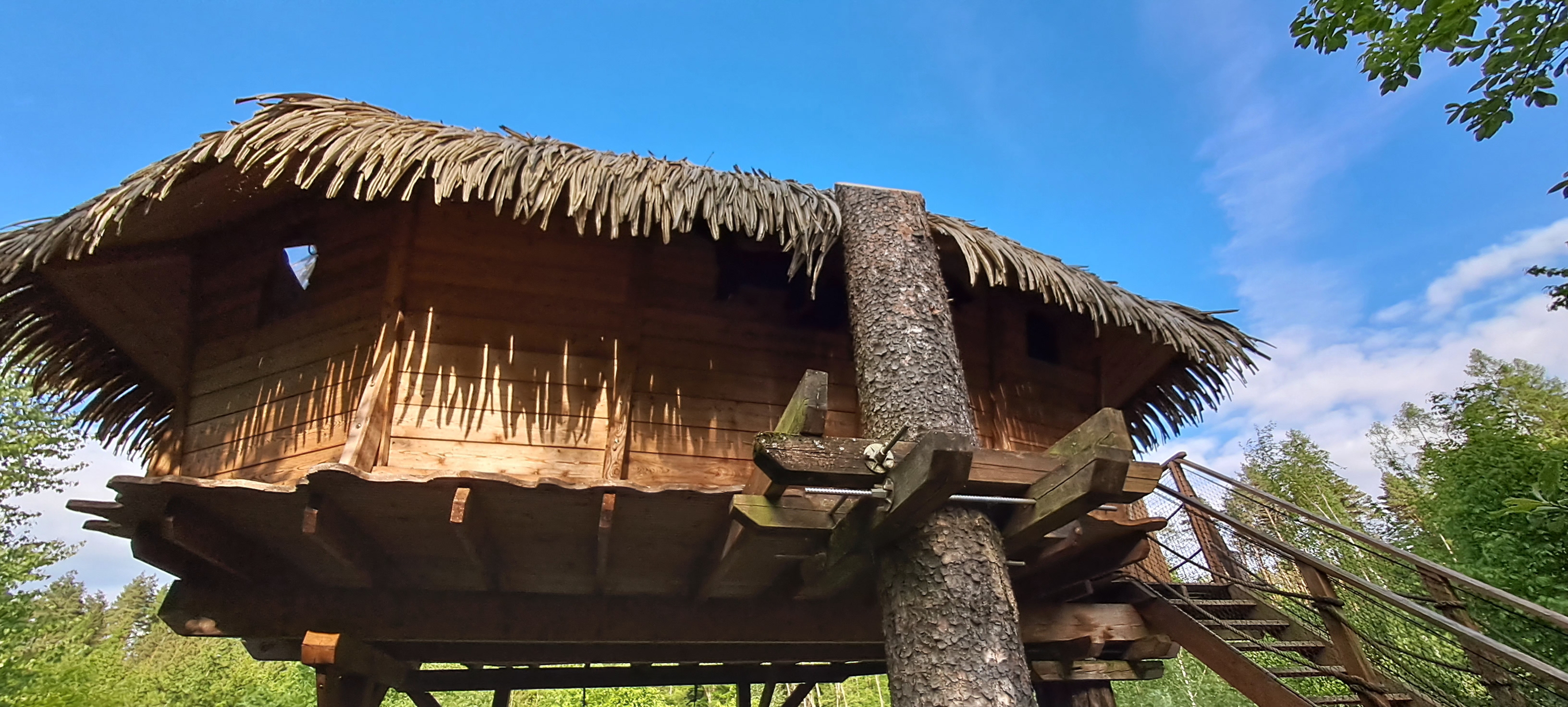 Tree House U Jezevce foto 6