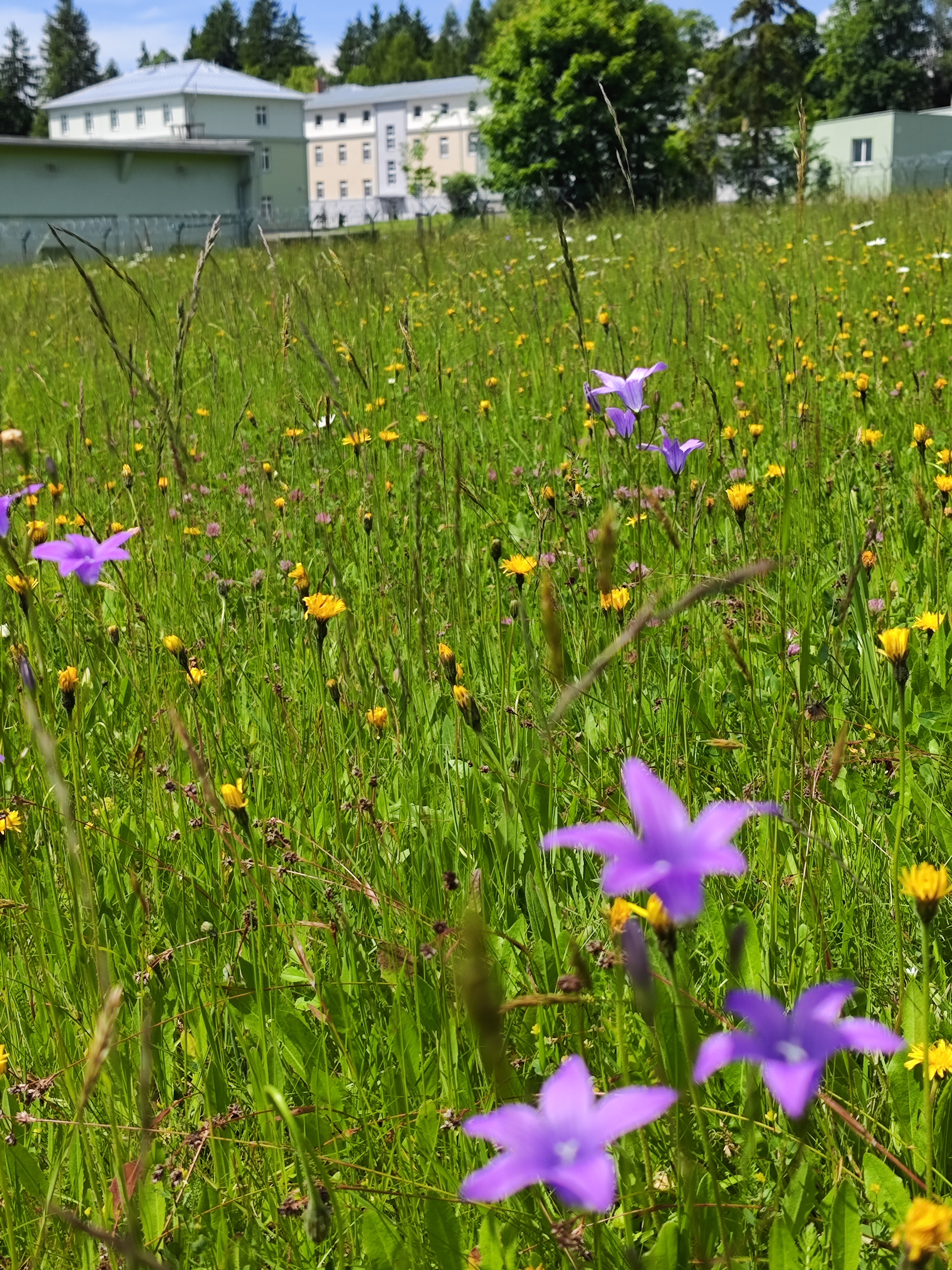 Centrum biologické ochrany Těchonín foto 2