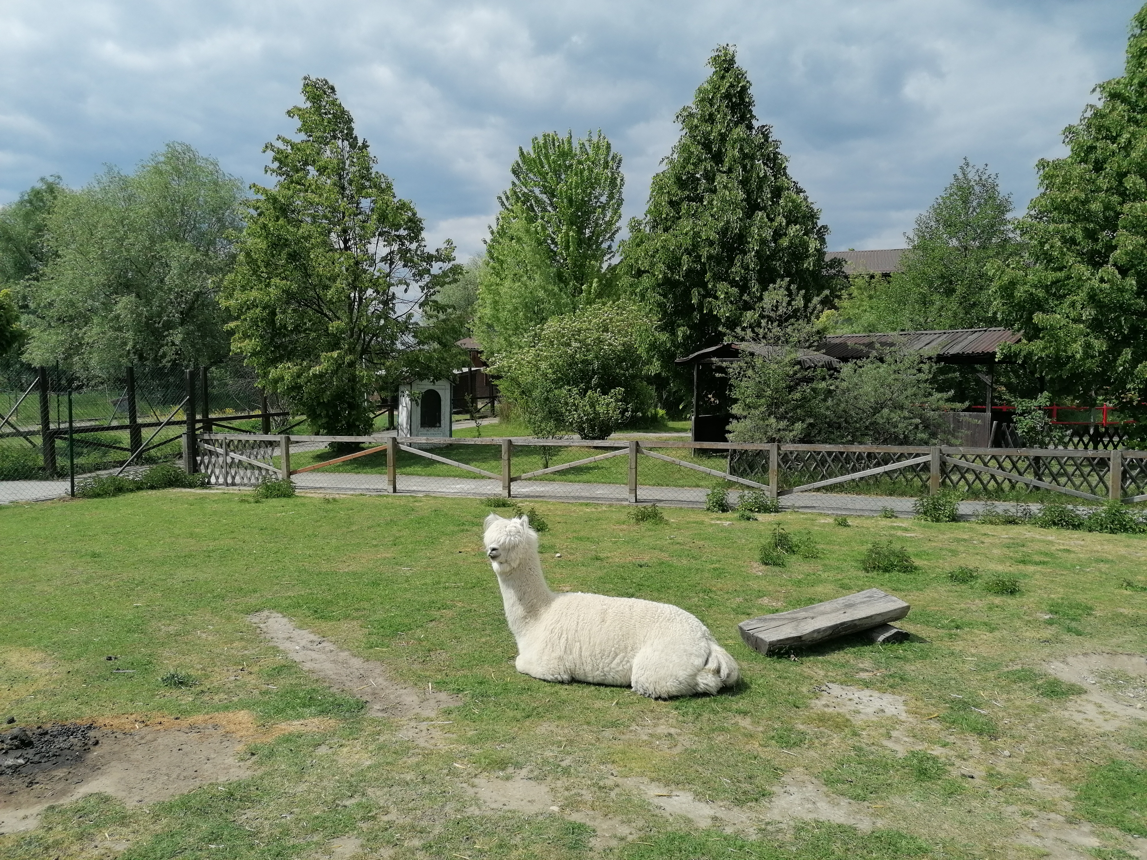 Dětský ranč Hlučín foto 6