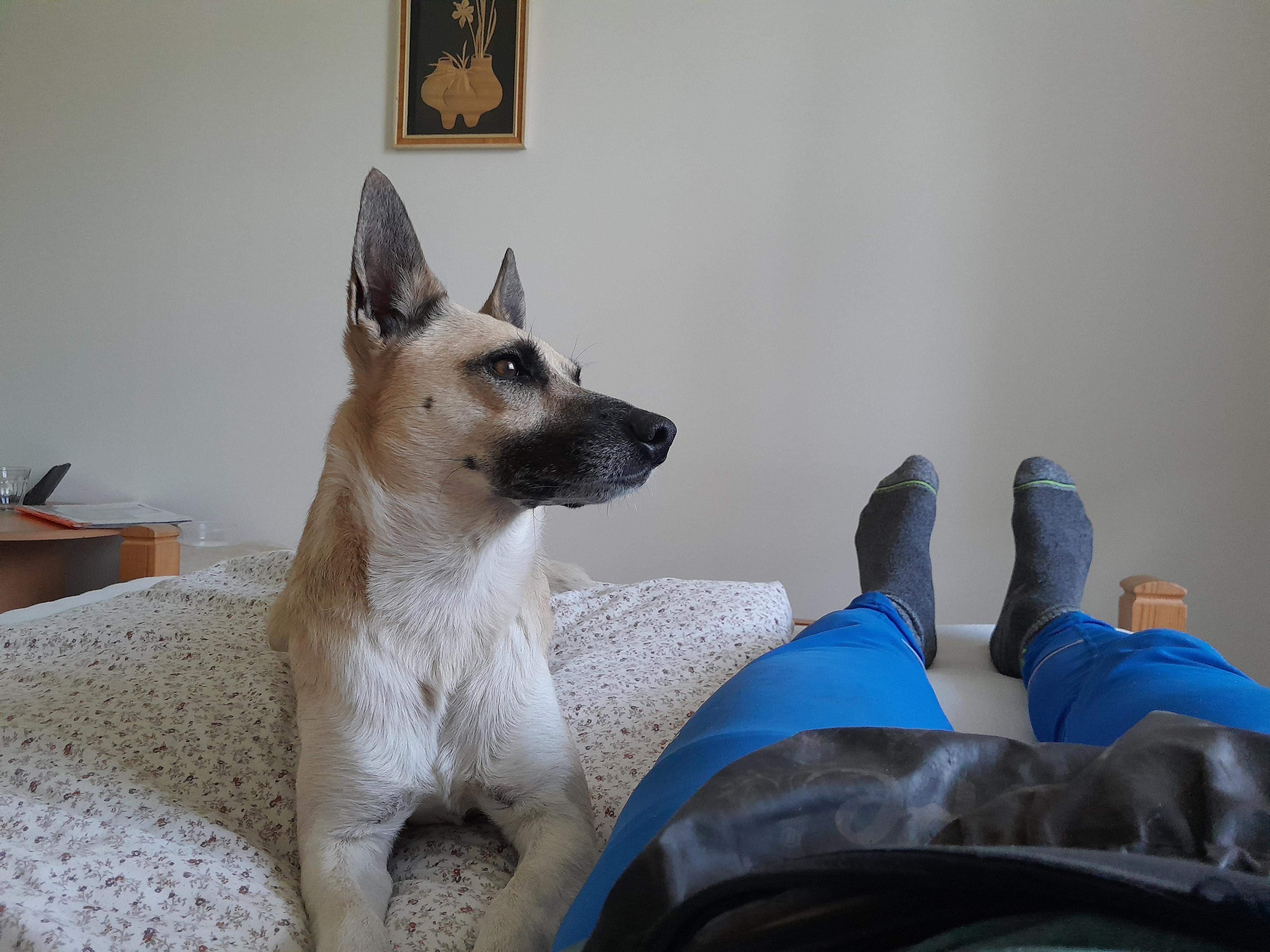 Kralická chata foto 4