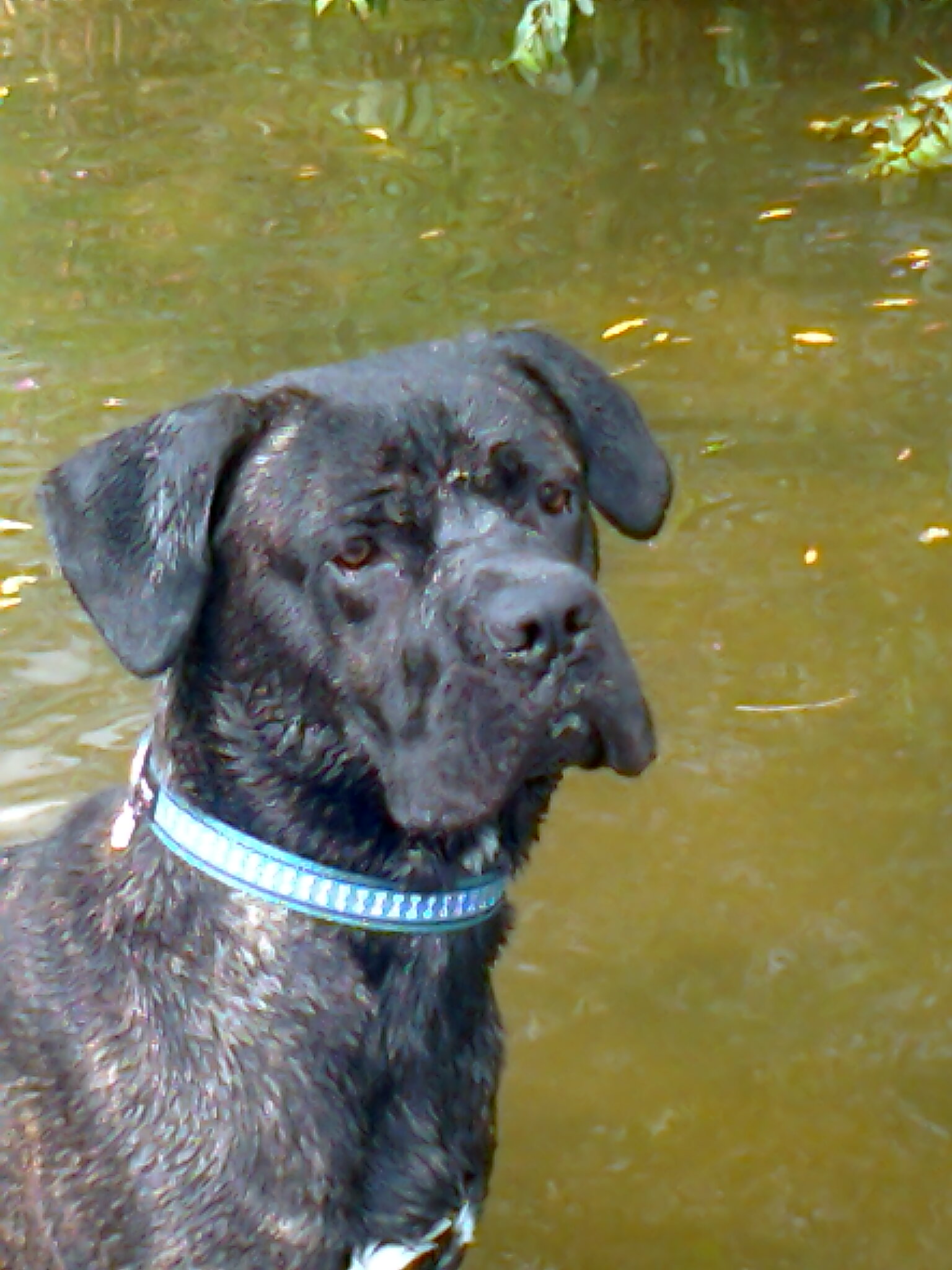 Veterinární klinika Jinvet s.r.o. foto 2