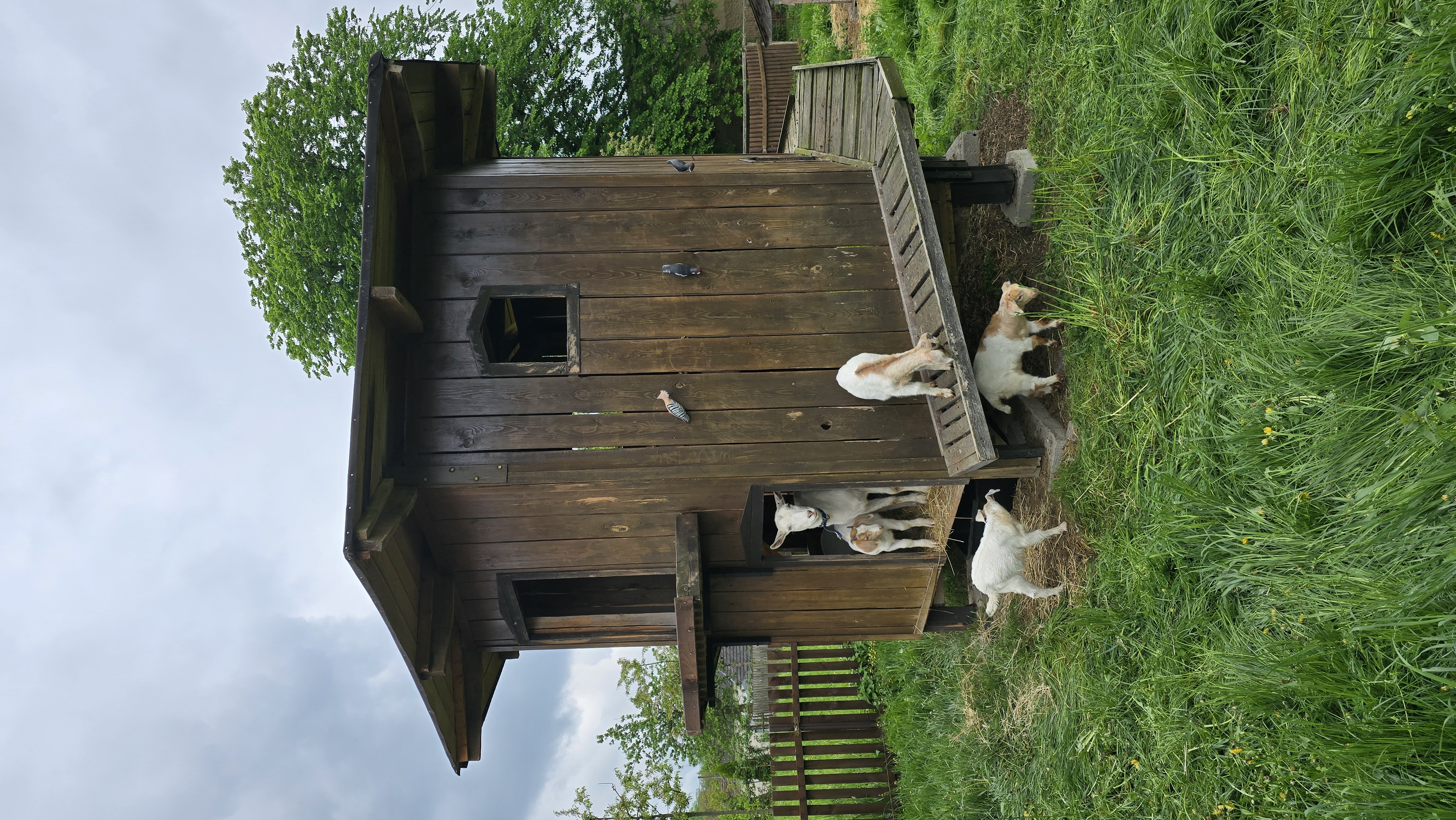 Jihočeské zemědělské muzeum, o.p.s. foto 2