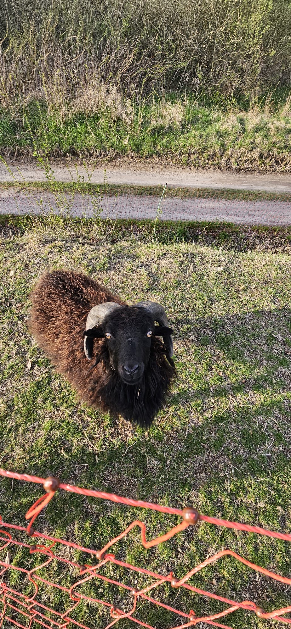 Bouda u třešní foto 5