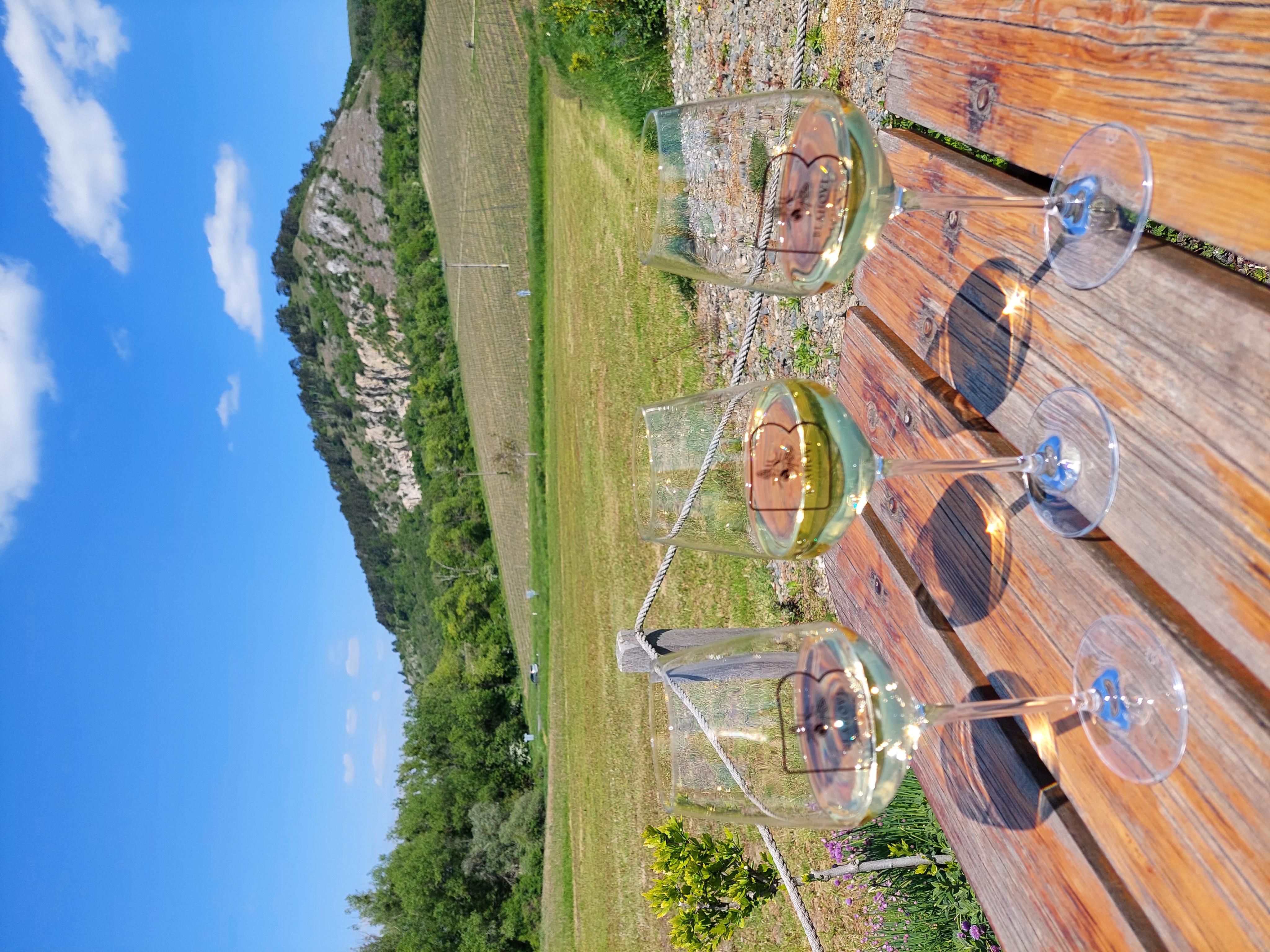 Vinný stánek Kletnice - Vinařství Blahovi foto 5