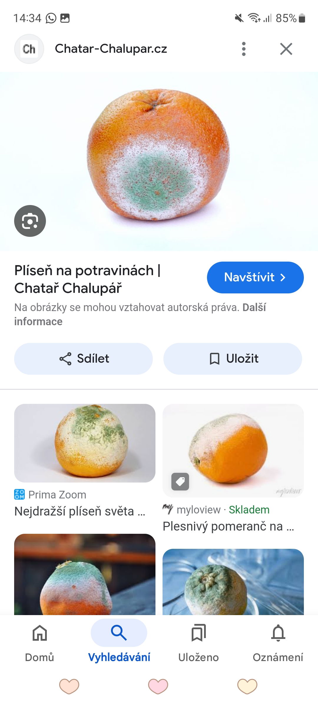 Školní jídelna GASTRON - Zuzana Vaníčková, s.r.o. foto 2