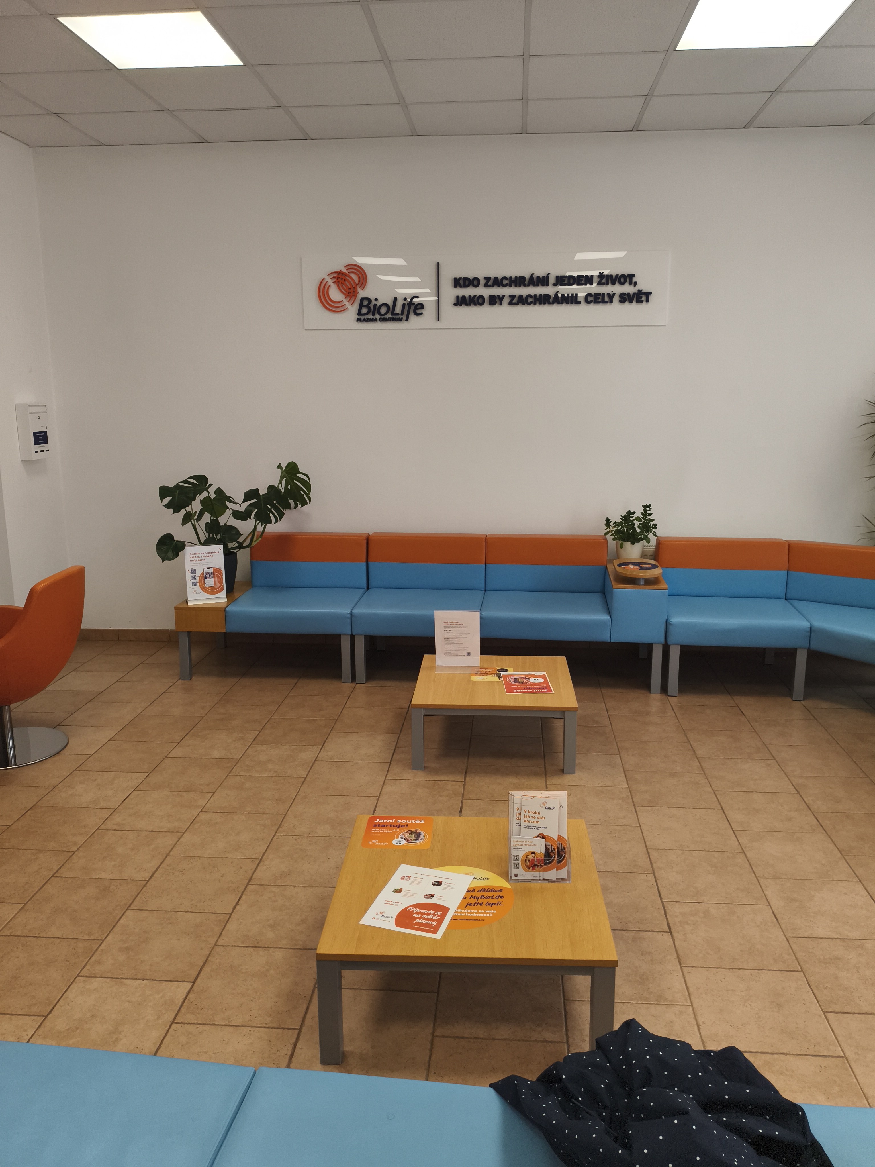 BioLife - sanaplasma foto 6