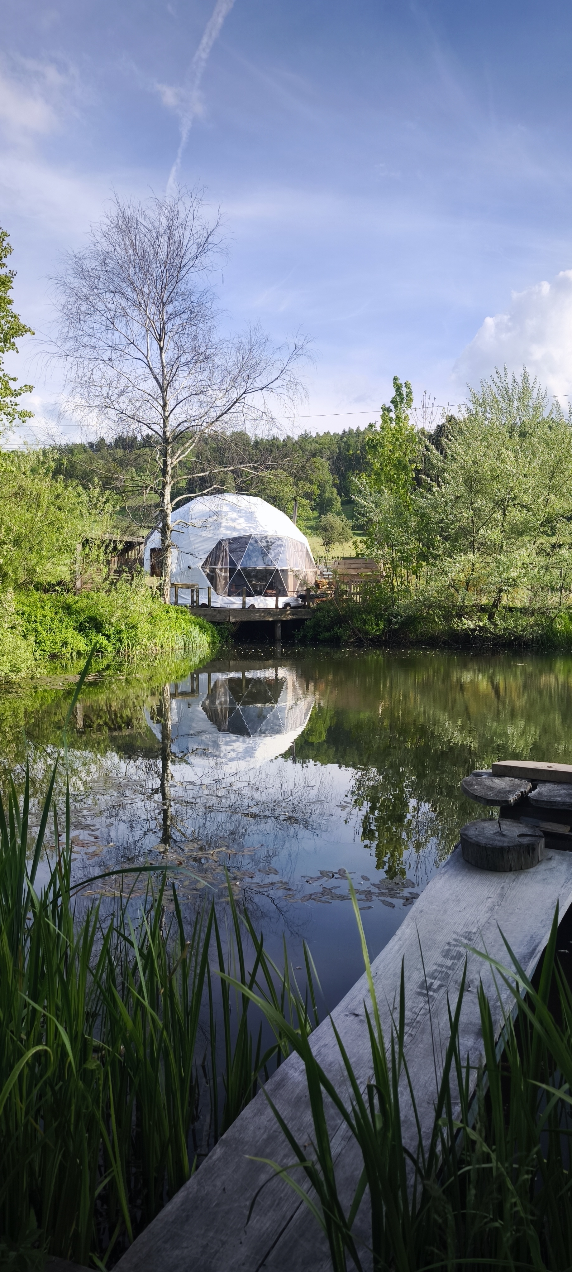 Glamping Jedlová foto 3