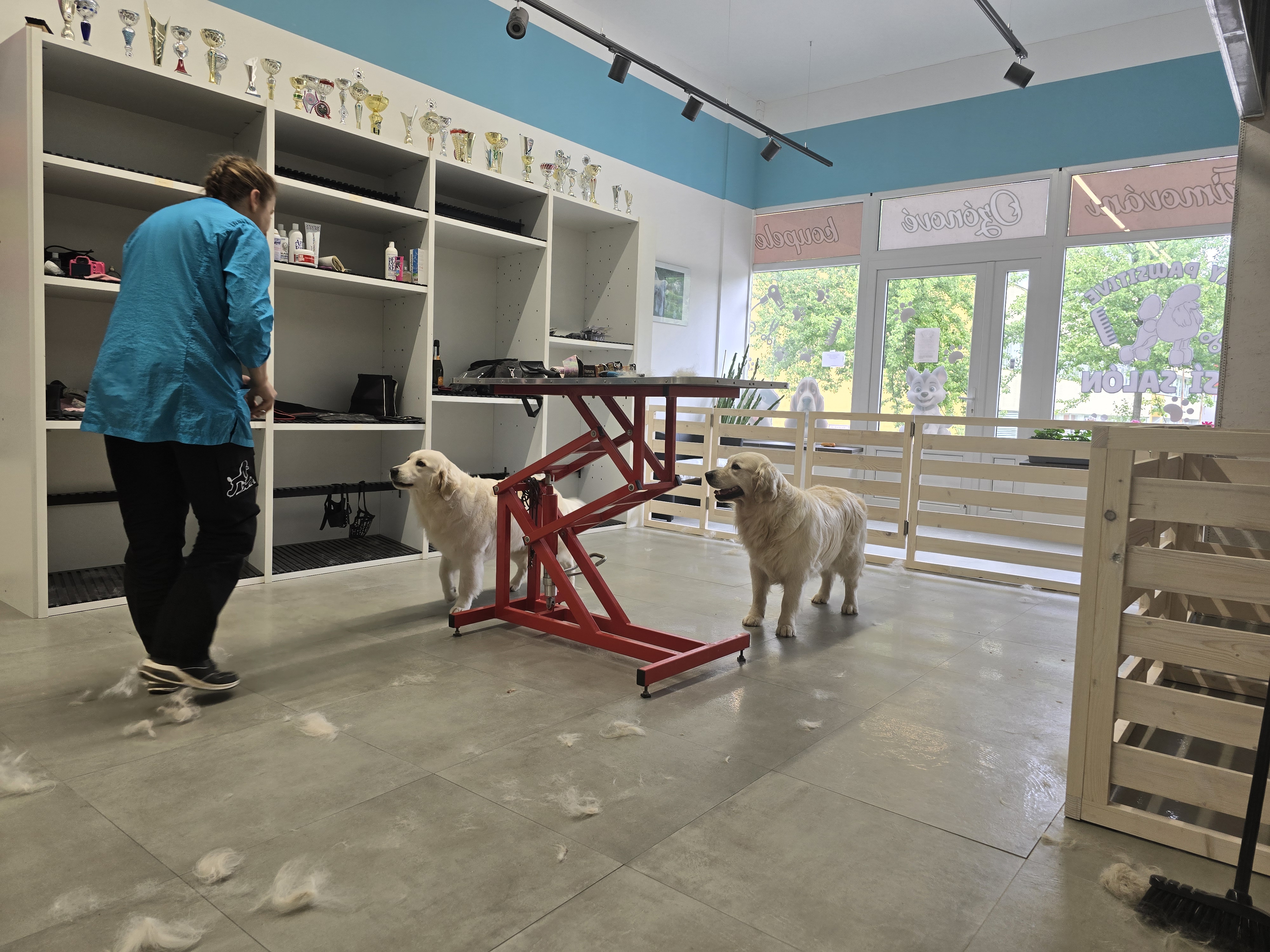 Psí Salón - Stay Pawsitive foto 6